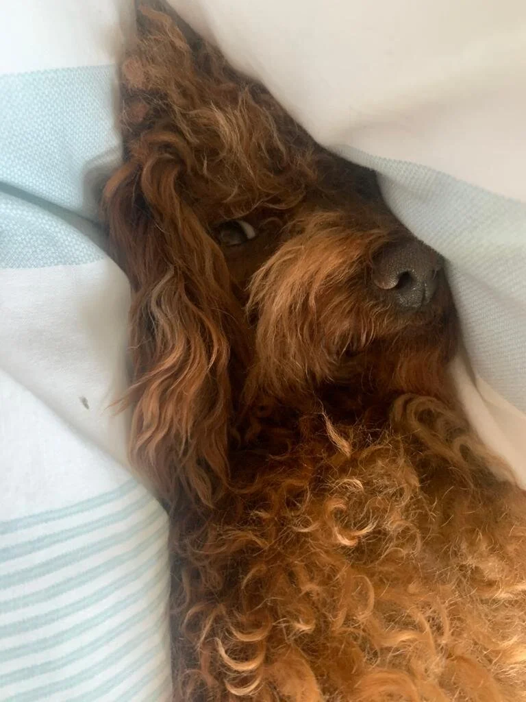 E140C5E8-3691-4881-B39A-F1256BBB868C