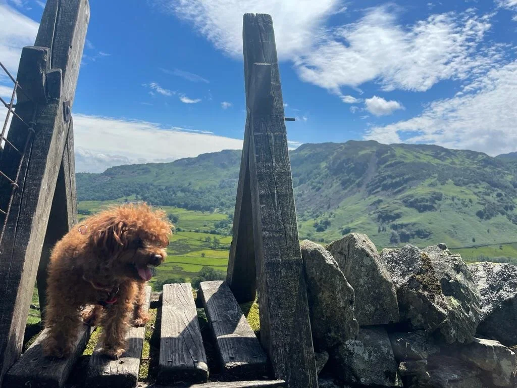 1AF5590C-3550-4331-85DF-442E421A60F3