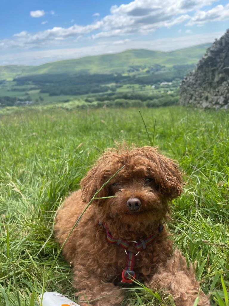 3063A743-FDBA-4789-846C-0D3C9AC8C048