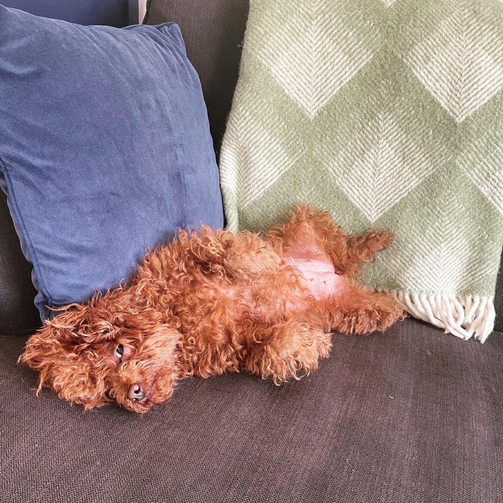 0B1BA61D-ACF0-437A-BAF9-76D5BD313894