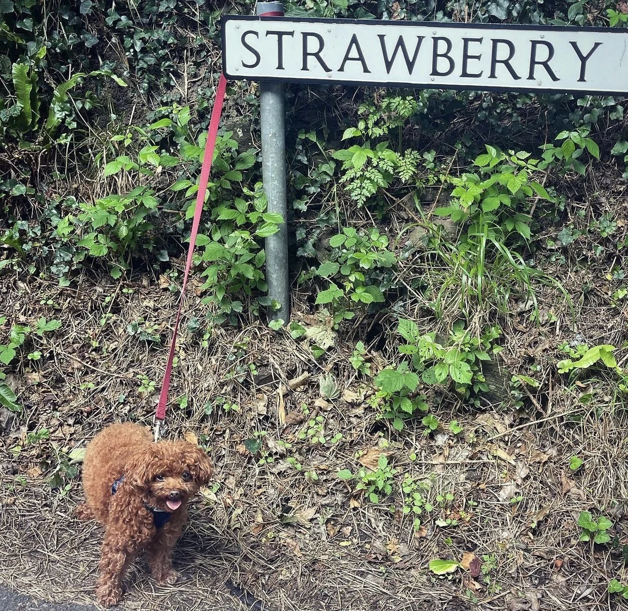 48585E96-D6ED-4640-89FB-425F6682A775