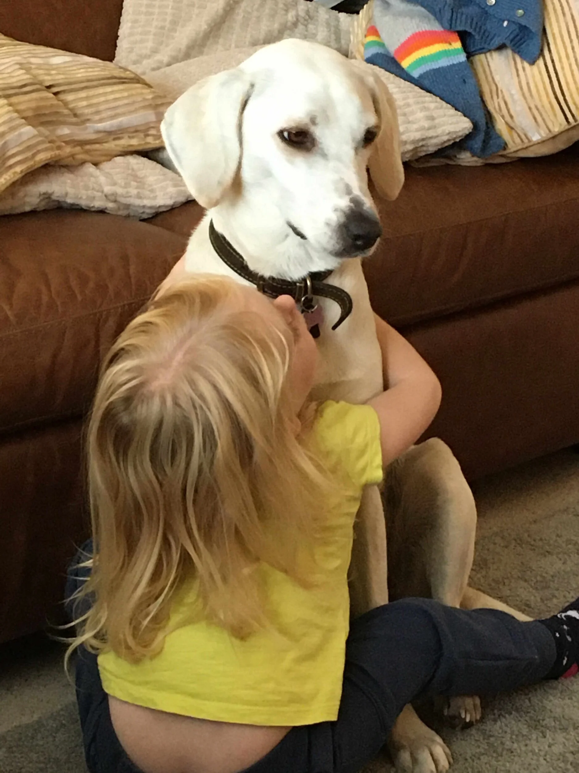 4ADA39C4-6B4E-4C89-9585-BEA27C7C4E24