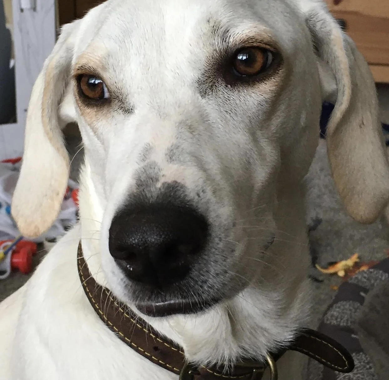 0385A798-366F-45C3-AB67-F8633B5FEF0D