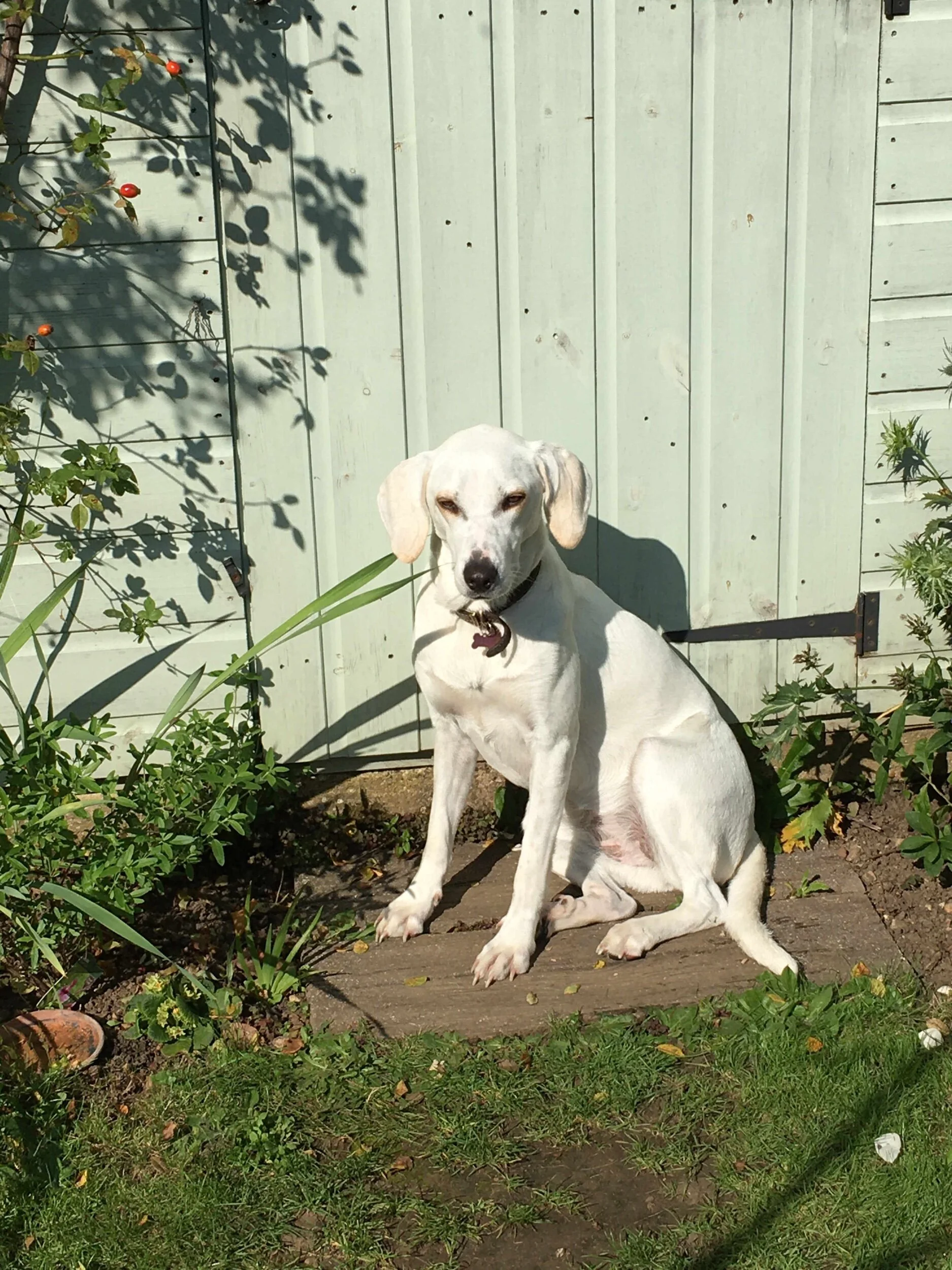 7DF5E5F4-0F13-45DA-991C-E567B8766376