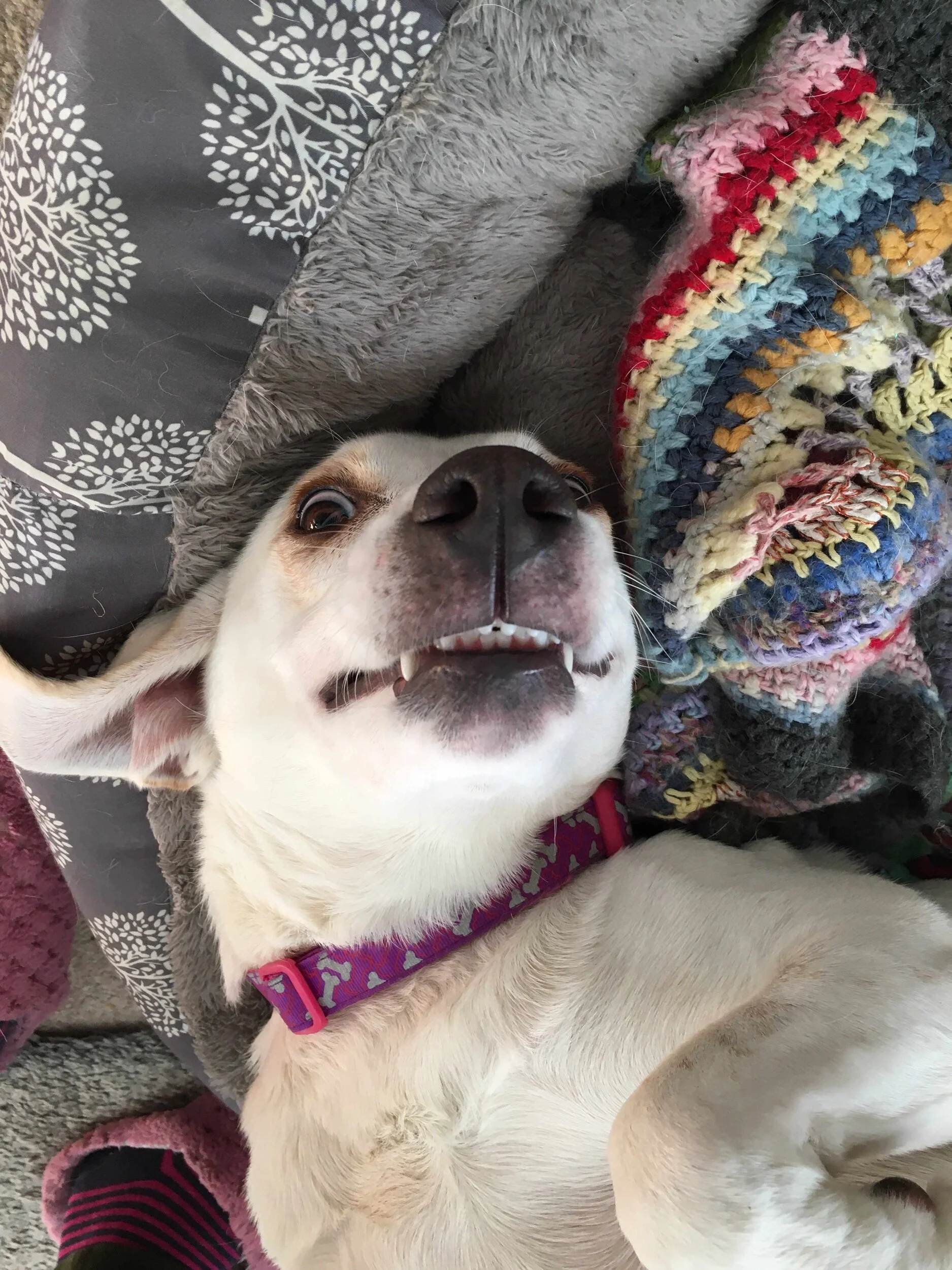 A8FE96B8-5062-4B92-AE79-CEDDE38789D3