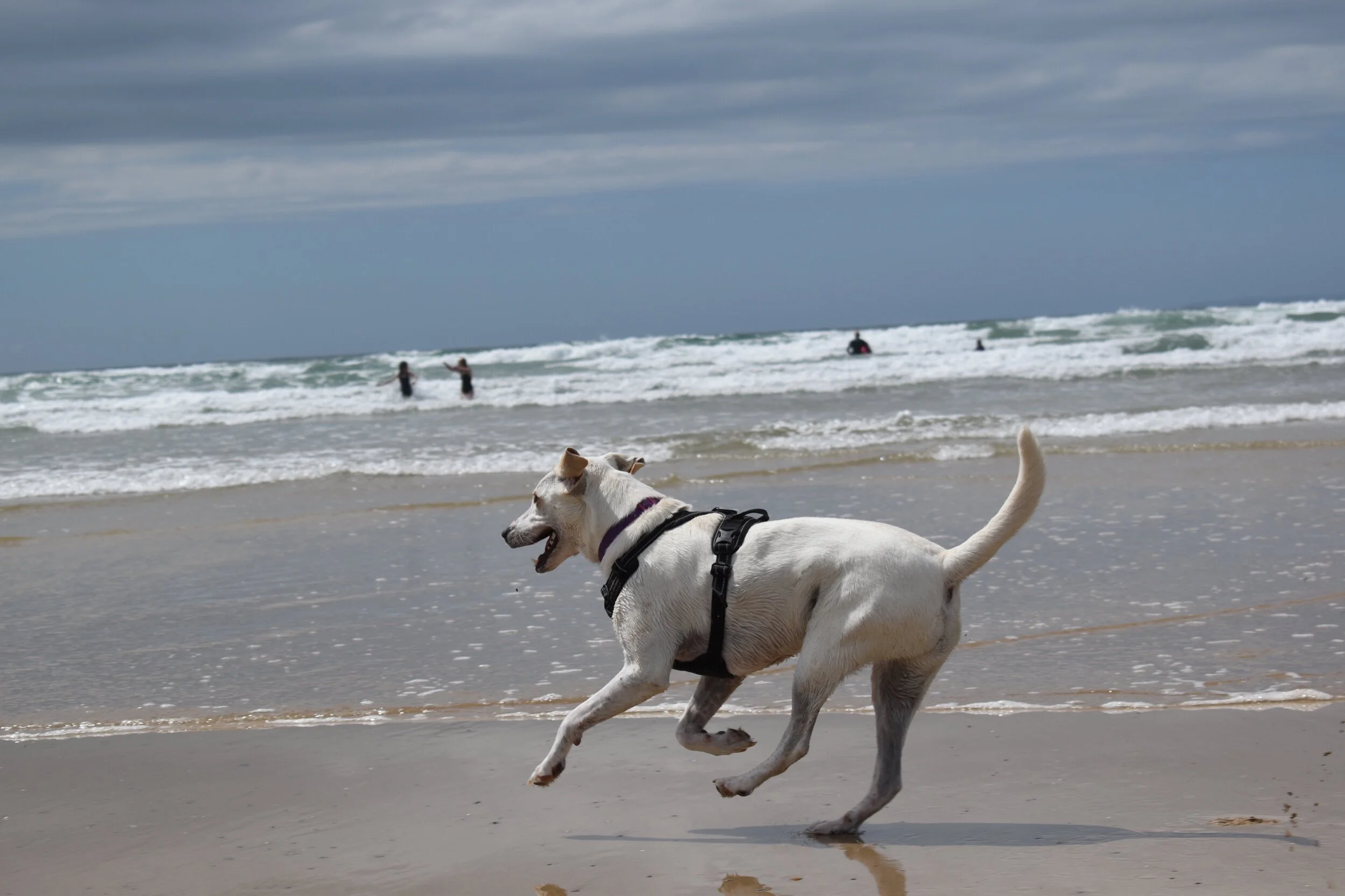 E7B390A6-6458-4385-8ED6-77453ABC5FB4