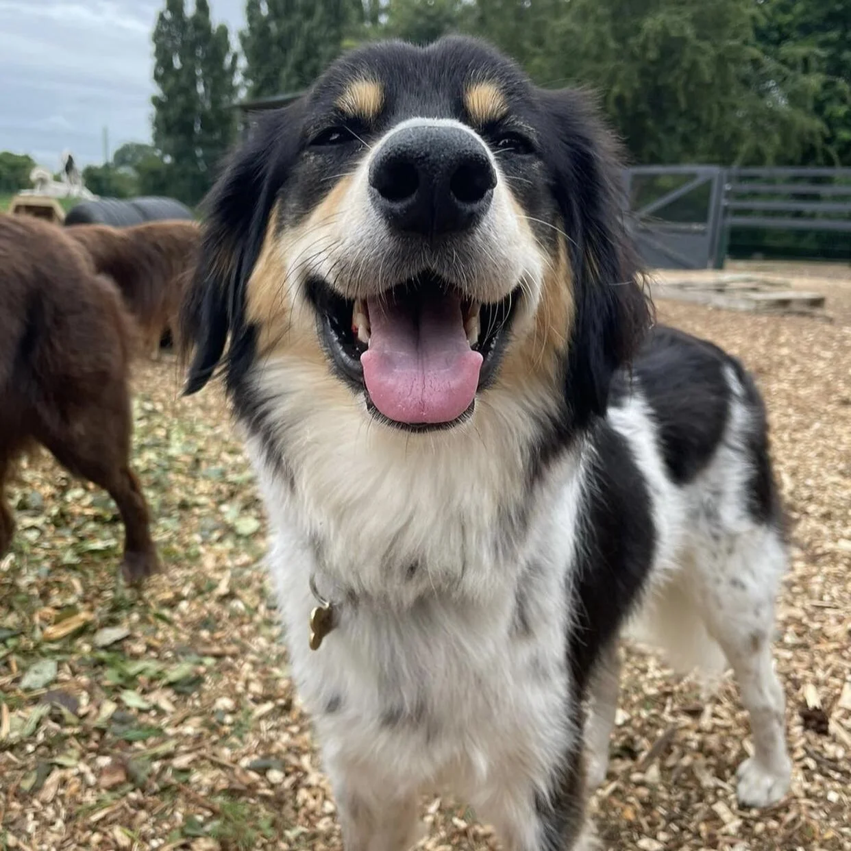 4F67E8EB-E76E-4A65-919A-1EFDF2F83E61