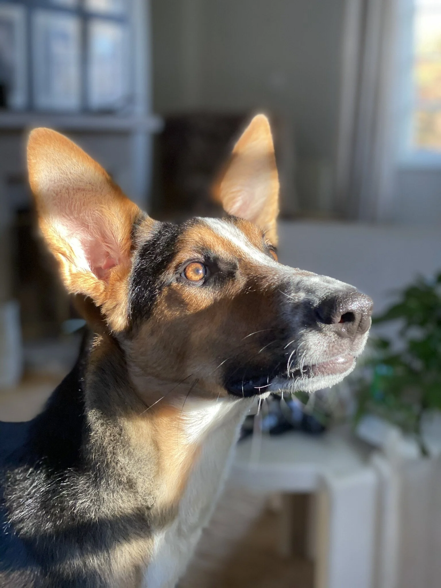 6AD97A81-E898-43F0-BE9D-43BB1211AC04