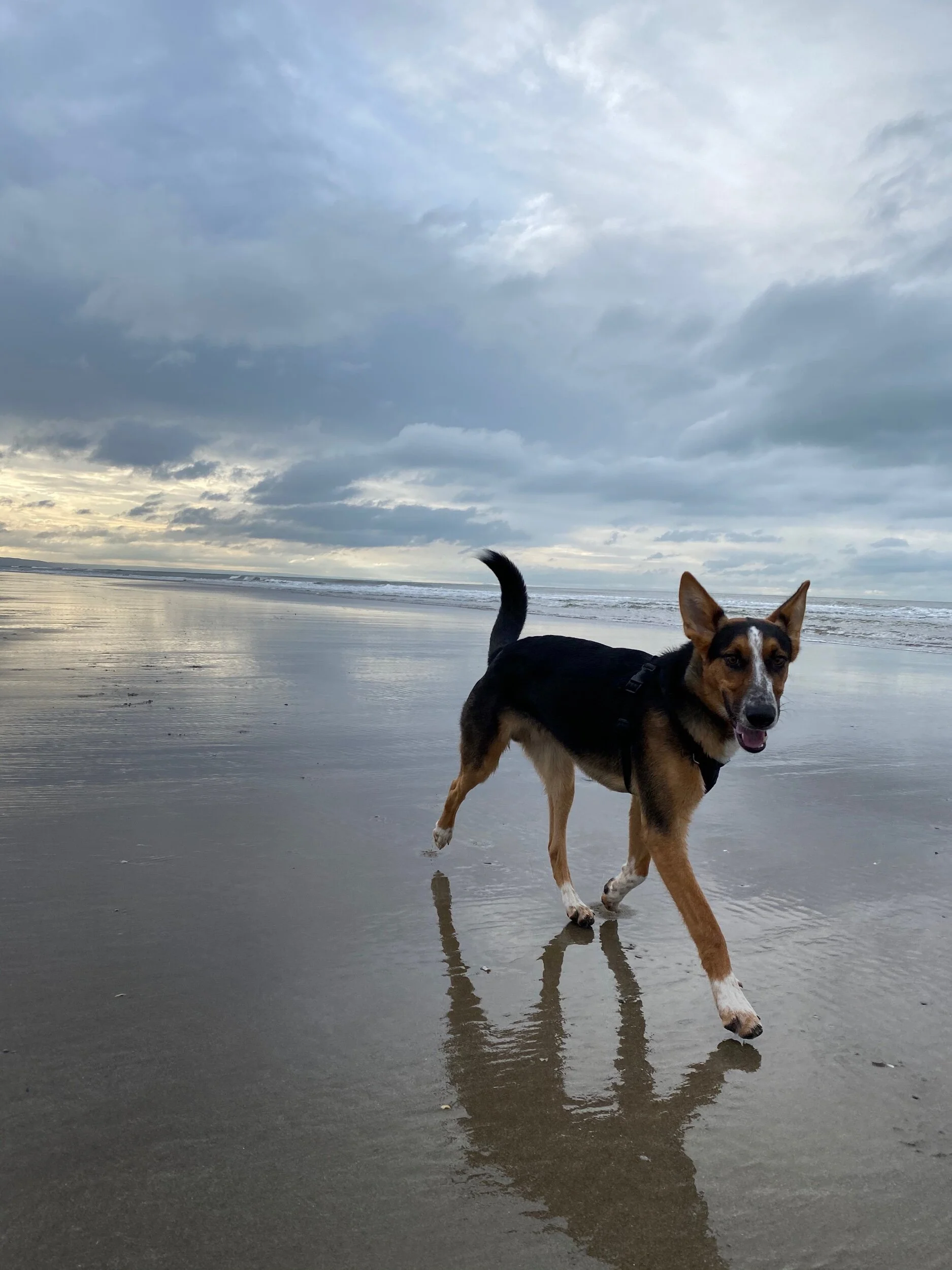 0F1EF681-0363-409D-8A32-BF282C8EA6C0