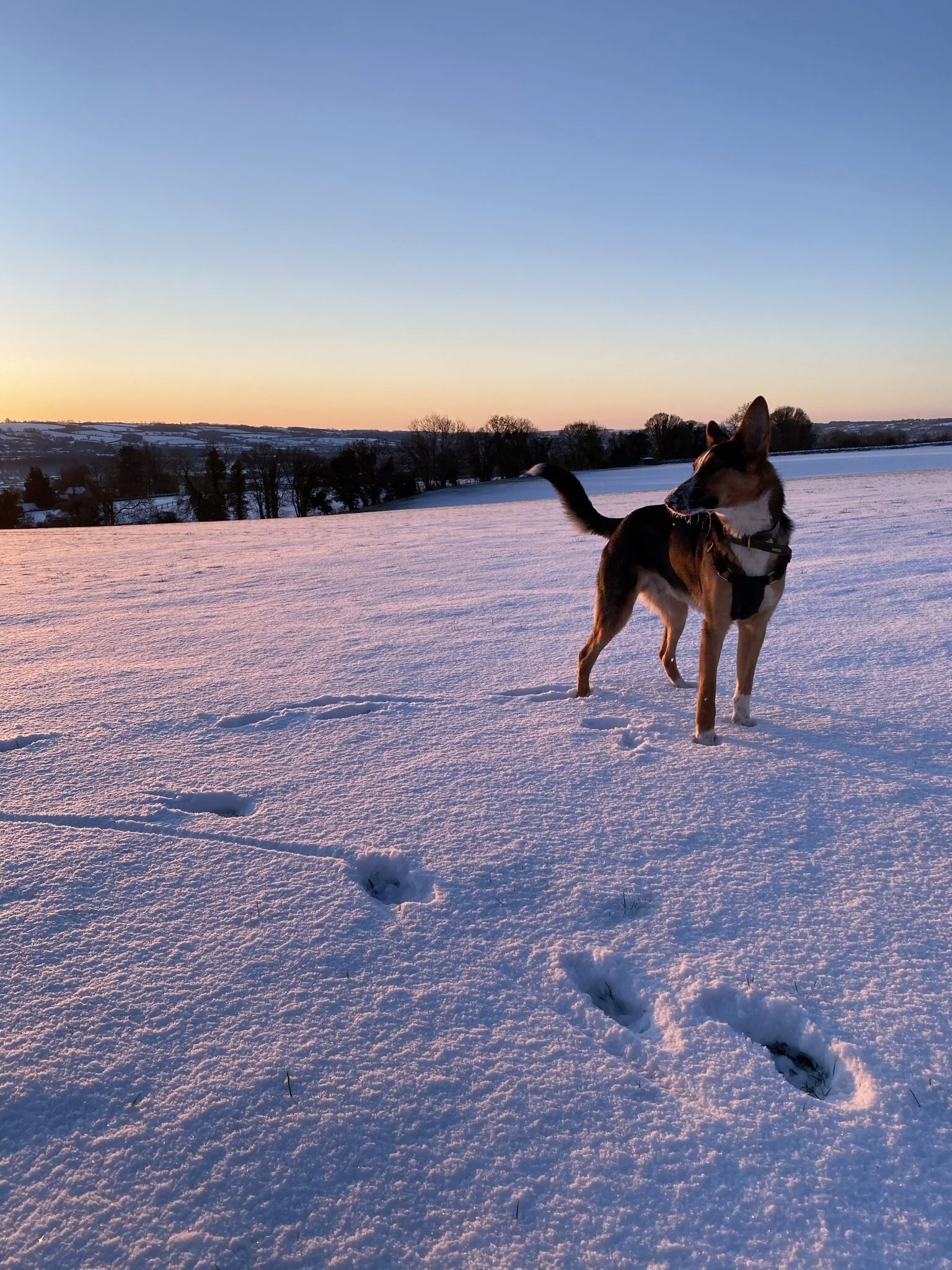 05B93798-A38F-496B-985B-D369CD91BB13