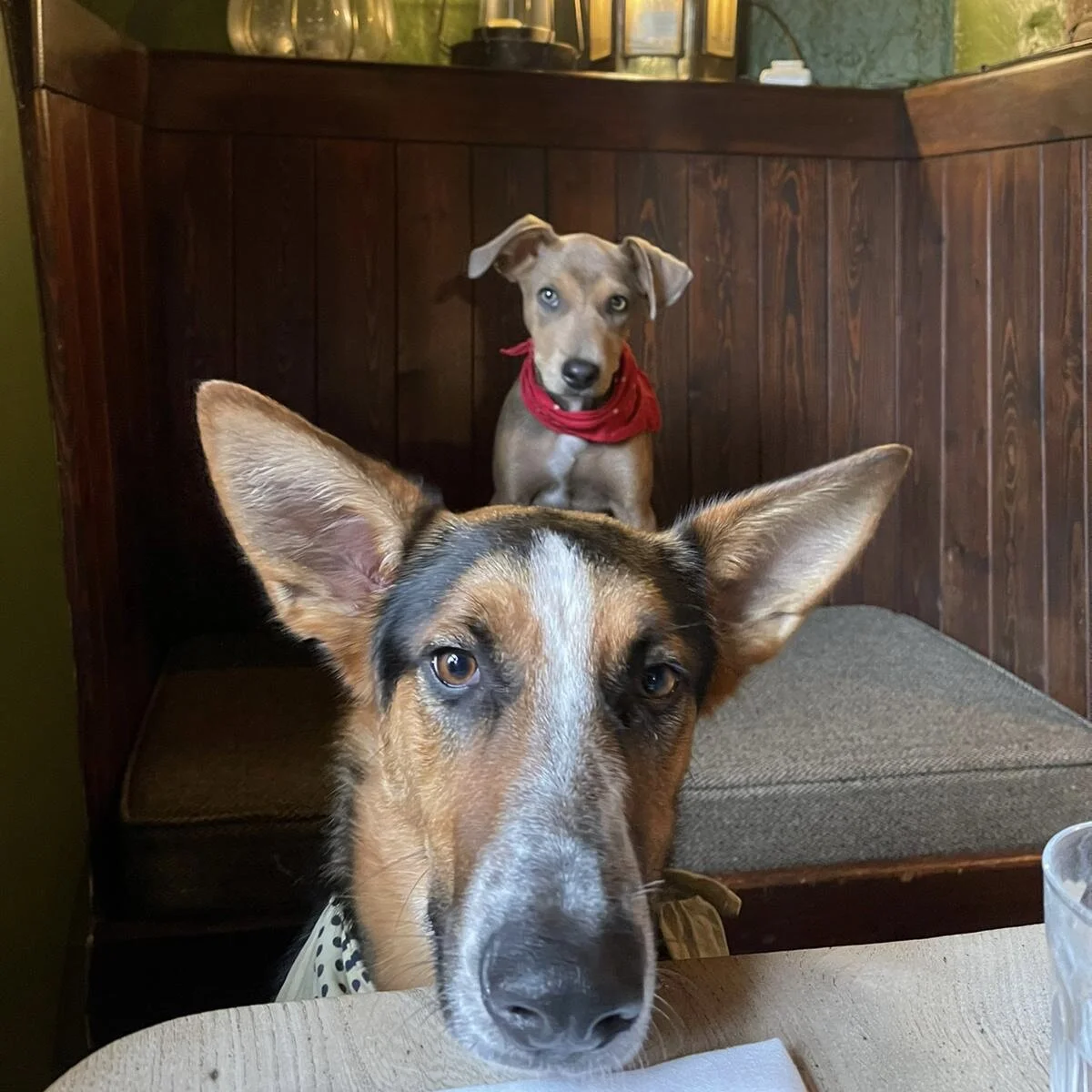 408D5ACA-9A25-4F3B-8CE8-0C42ADD6DCD0