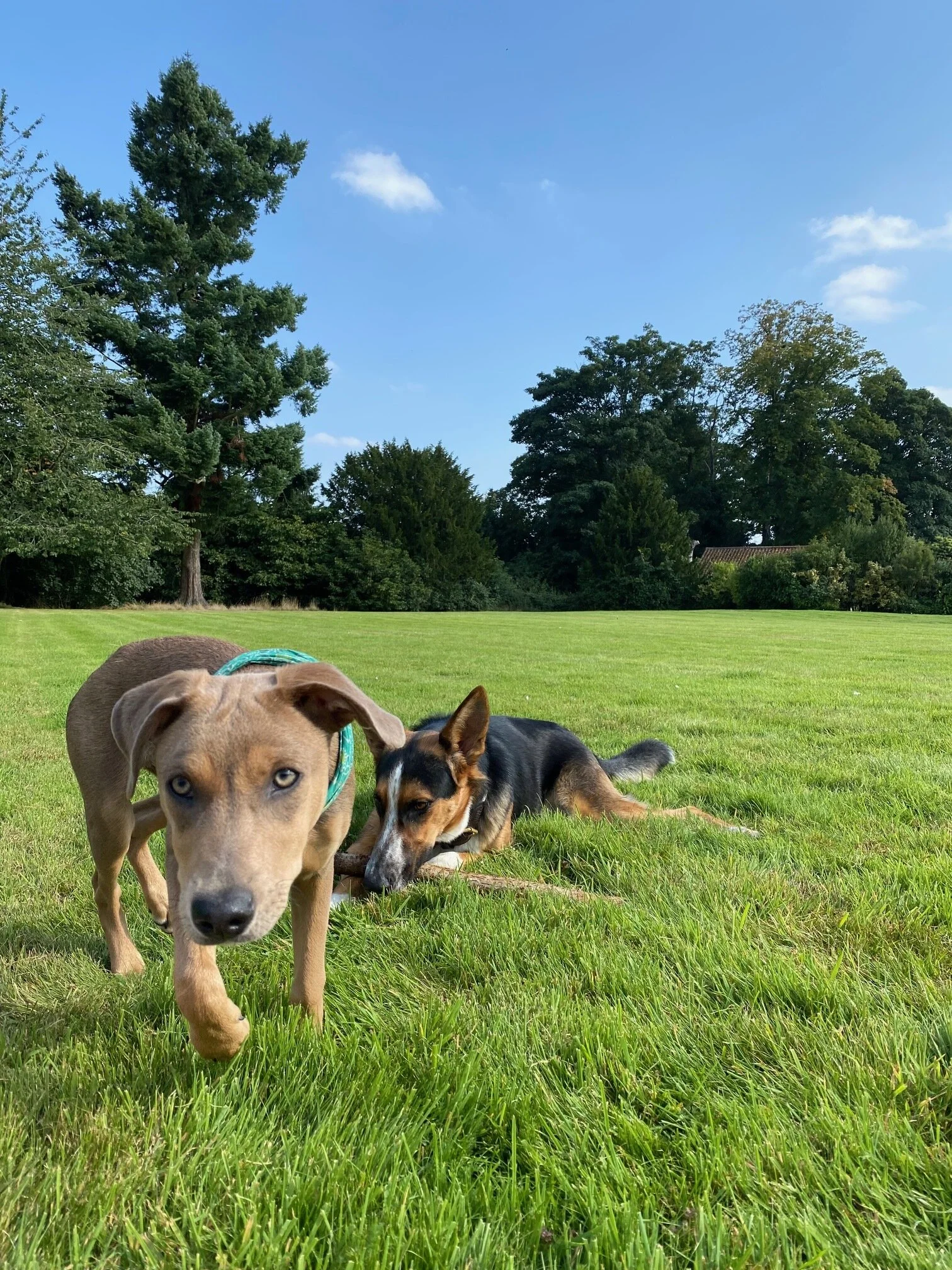 075E9E3A-DAAB-45B5-BC98-2FA7F6647753