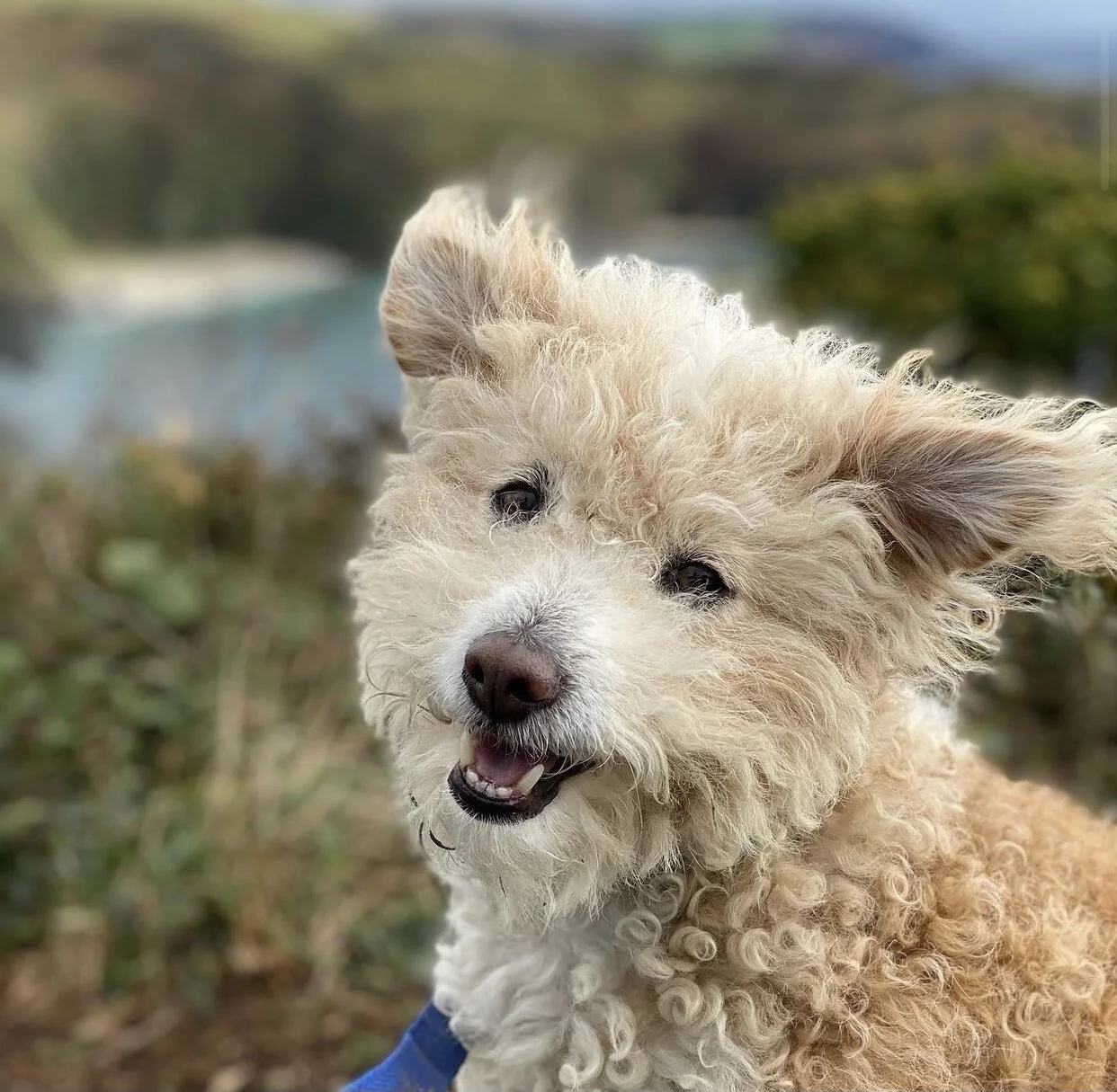 1066EB56-F127-44CB-BCDC-D12CC6AC50E5