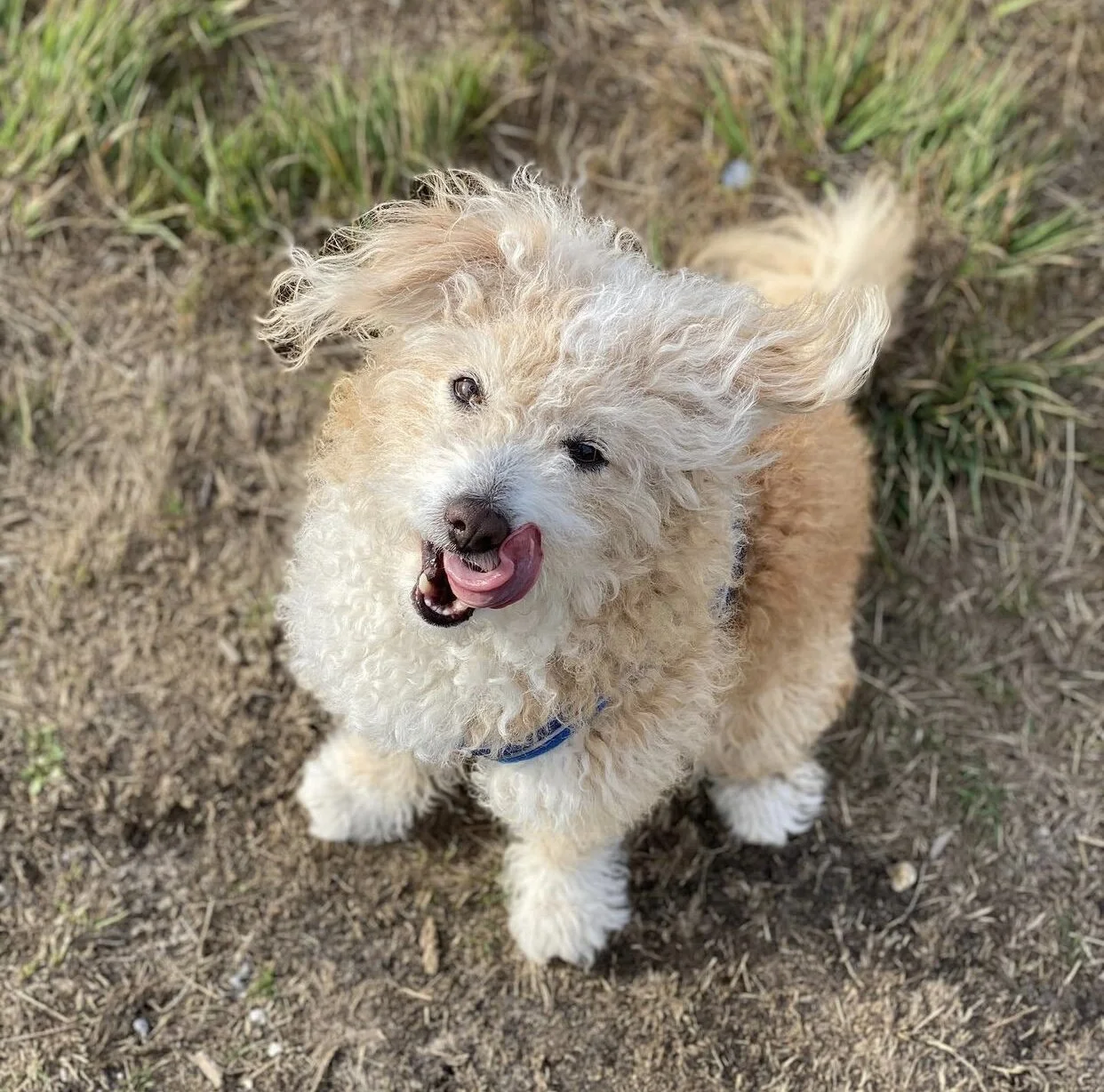 E56F3EDA-4208-4E41-A8FF-FAEF7C36F6BA