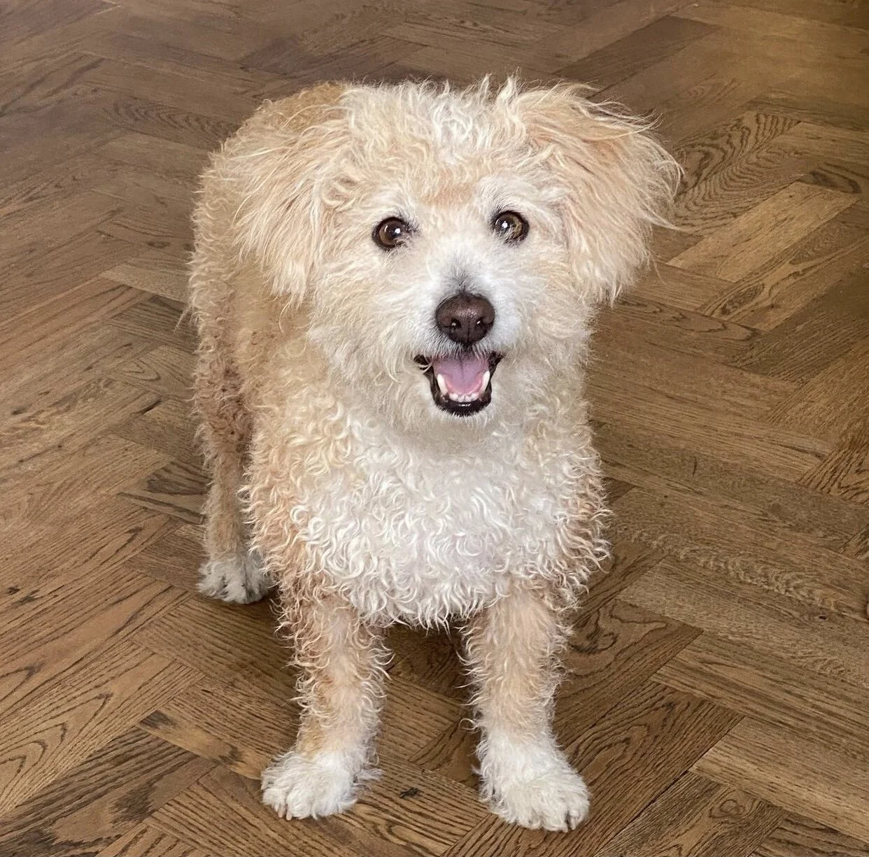 87876F6B-1CBC-4BCD-9209-A0BF5FCBC860