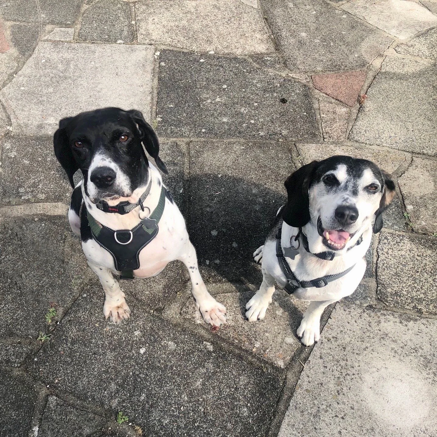 9E76B8C1-F933-4D5C-B735-AD889022E2D2