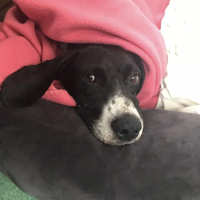 0AD626AB-FD81-43E5-88C7-353BF7A4BEEE