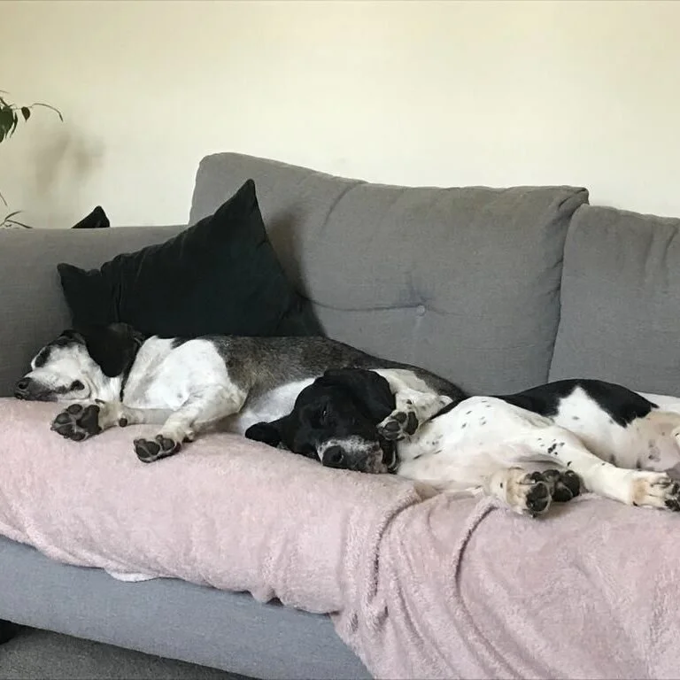 E2F77F13-CB57-47DB-BE57-6B7A48253A37