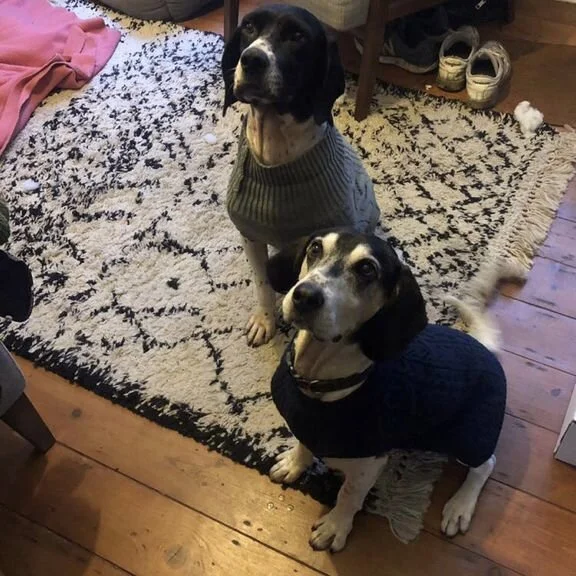 AD698107-C239-4F50-BE4D-C889AB0EAE5B