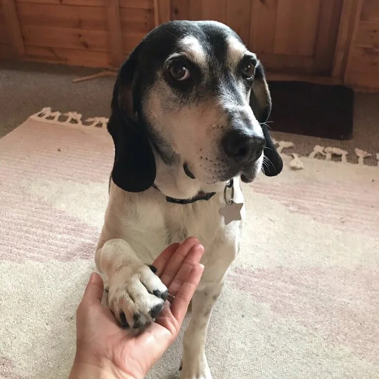 3C481C90-23D7-43F1-B5F5-E9D98124570A