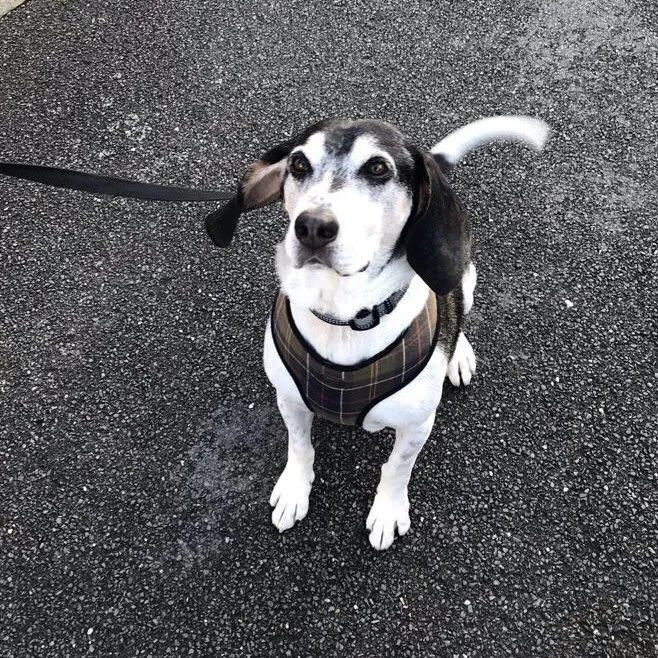 3C822E28-8B77-4CB6-9EF5-BE0A489BA1DC