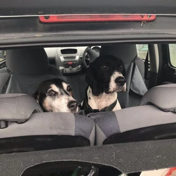 0481F3AA-2E6B-4B66-8CD2-06AF57ED3BF6