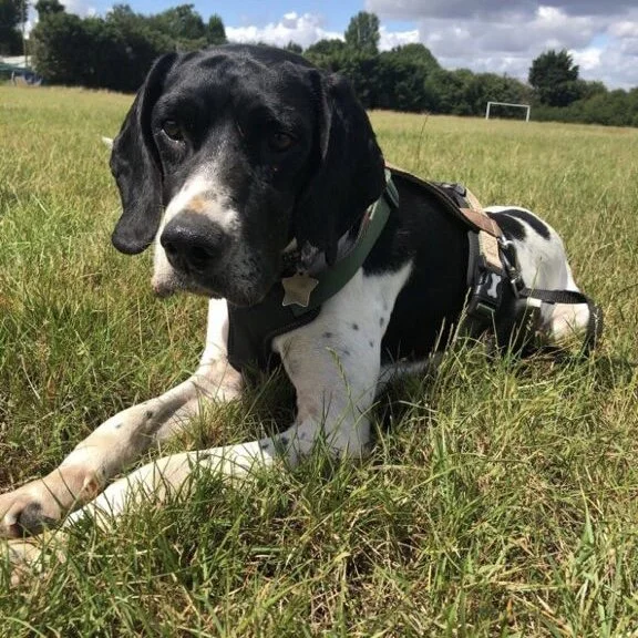 34A33C44-92E7-438F-829F-C0A6358011C5