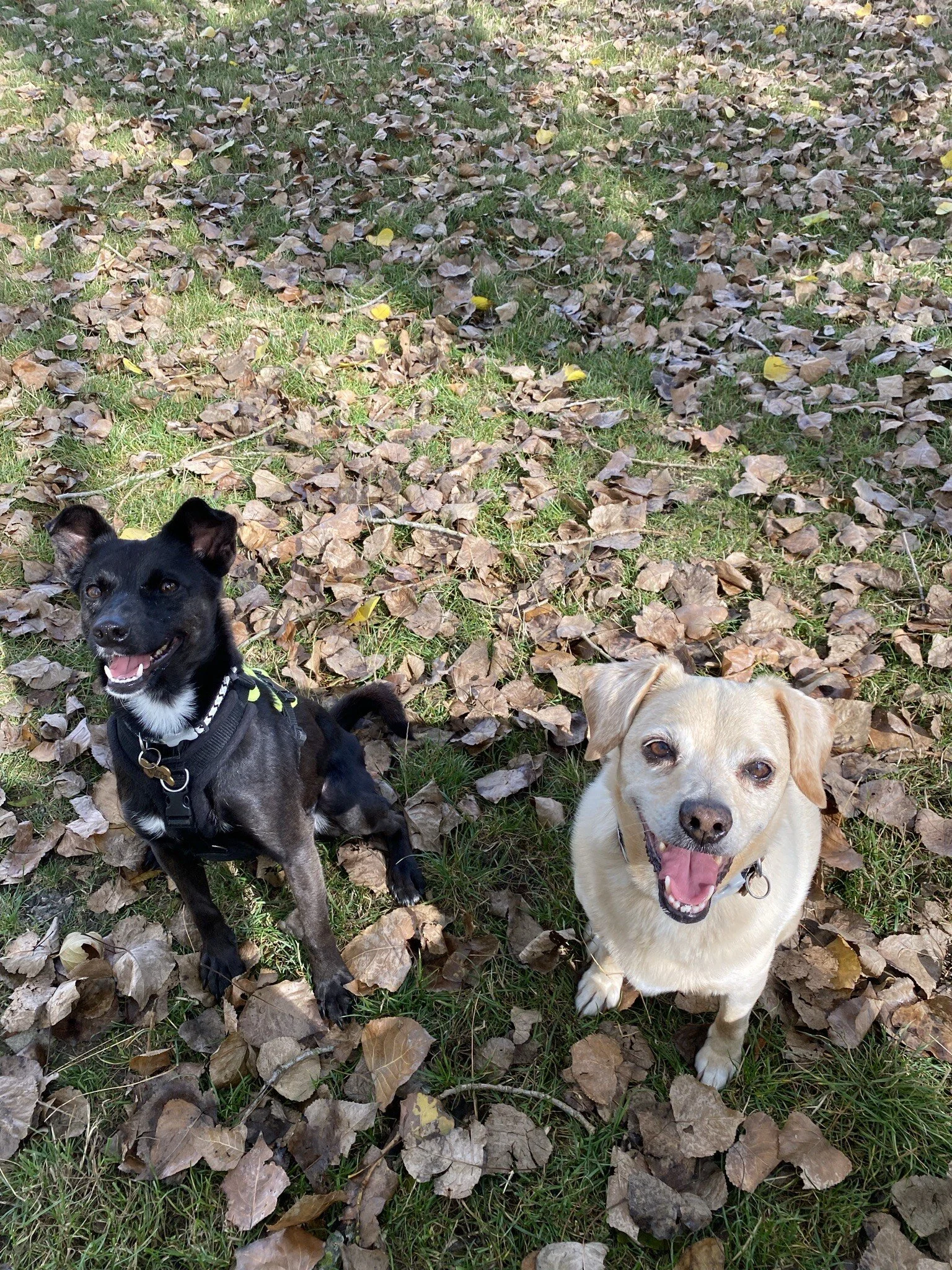 88547907-0771-48C0-84F4-83202CFA2D6A