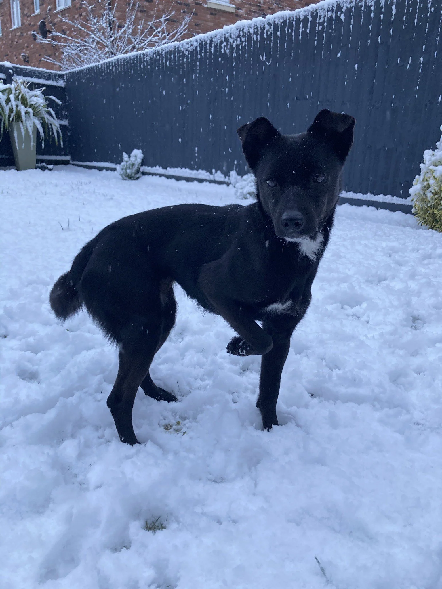 AB36ADBA-0A50-4F31-9F12-F918230C19B4