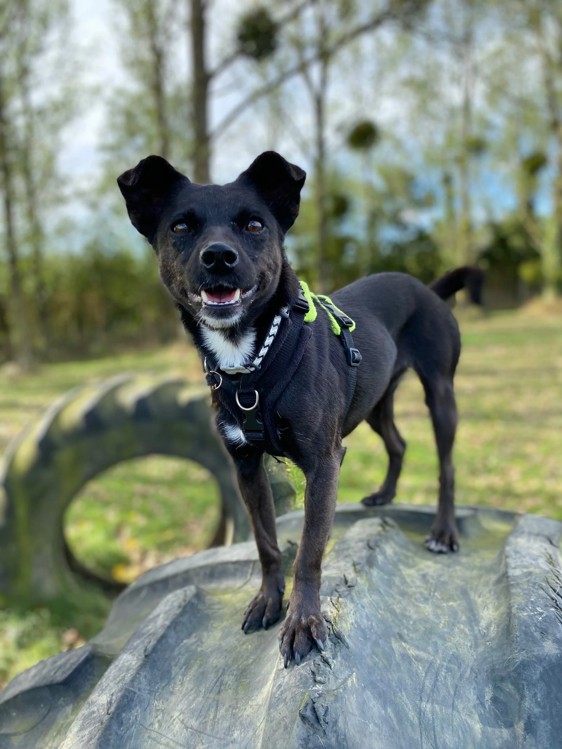 1E26C3F0-34CC-4574-AACF-25227300C9F6