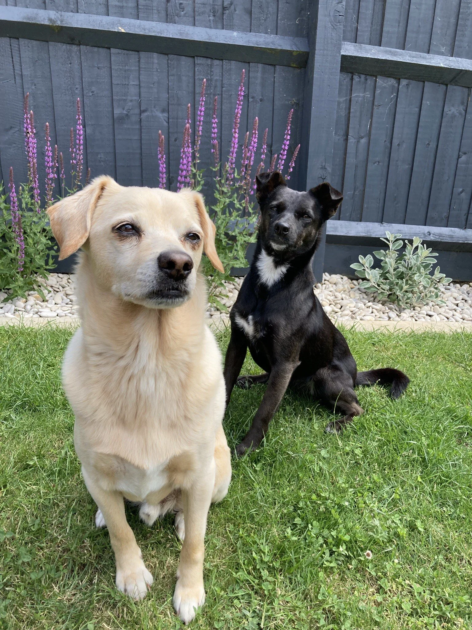 D55E4C9D-0EC0-4CE5-8535-68B7676EF05B