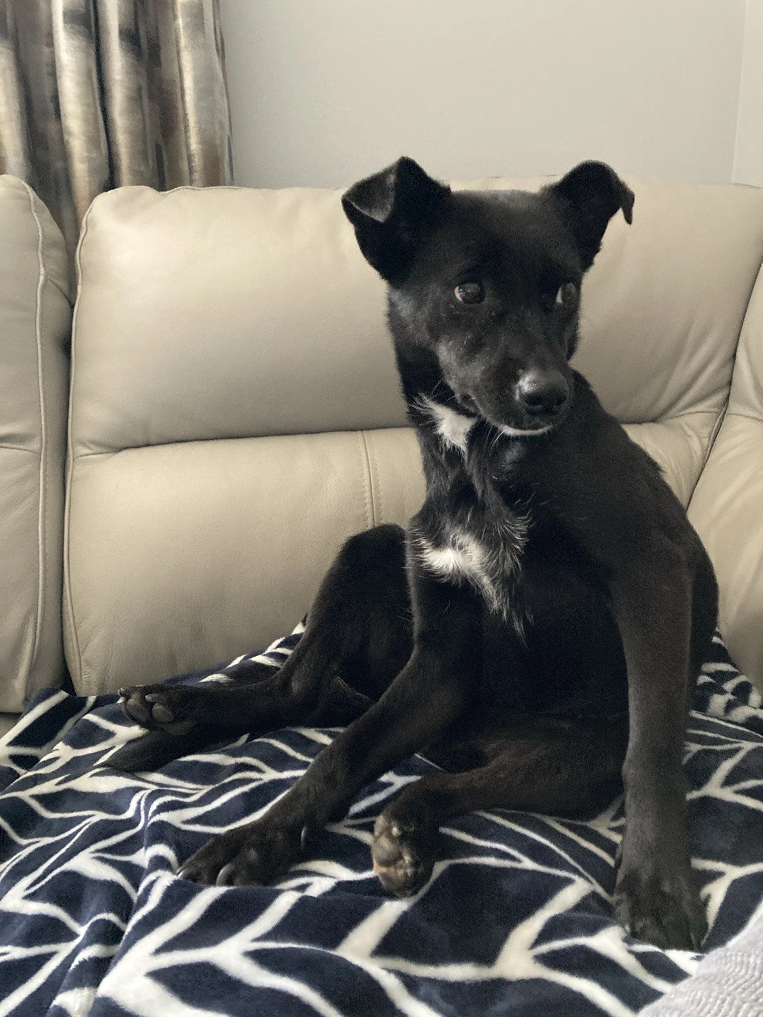 5B6FCEC9-E40E-4347-935B-F530322BE238