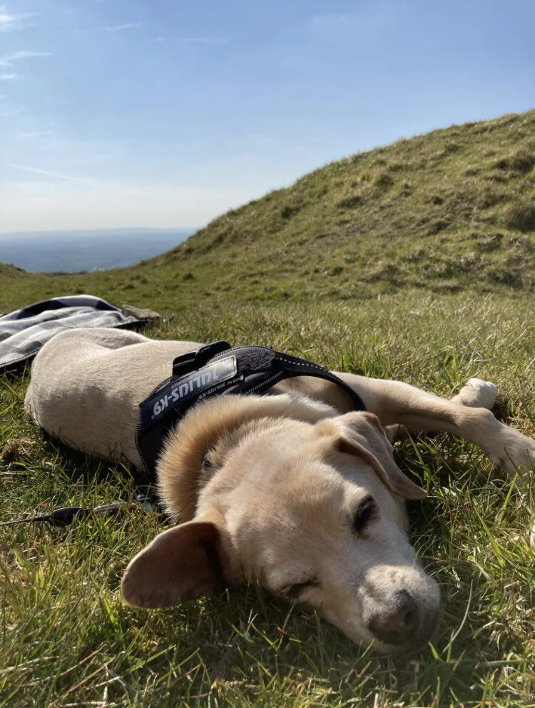 00CC51C3-E3C4-487E-A671-076C4FAE609C