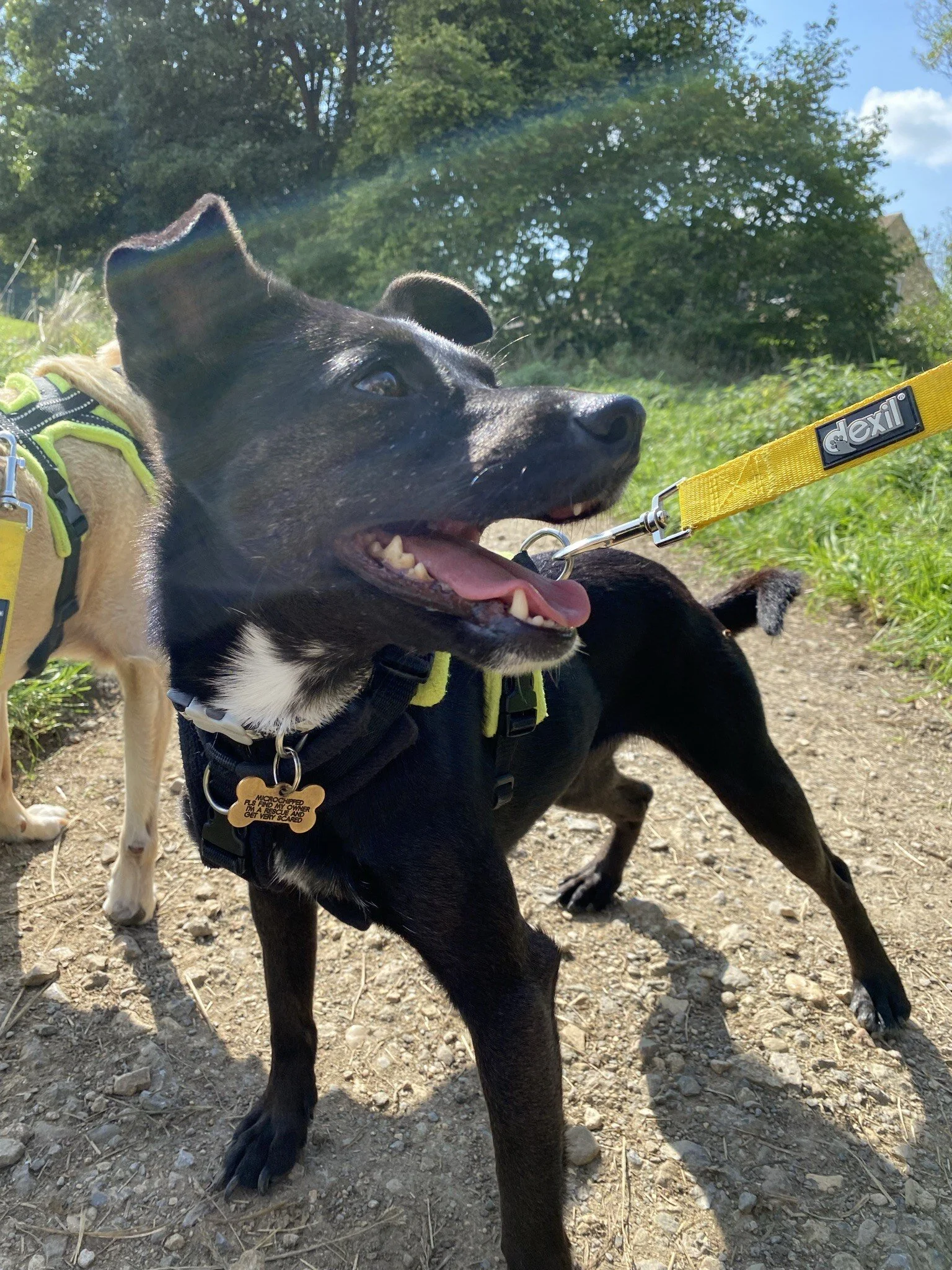 924B411D-6CF0-4E5C-A10E-916E35B381B4