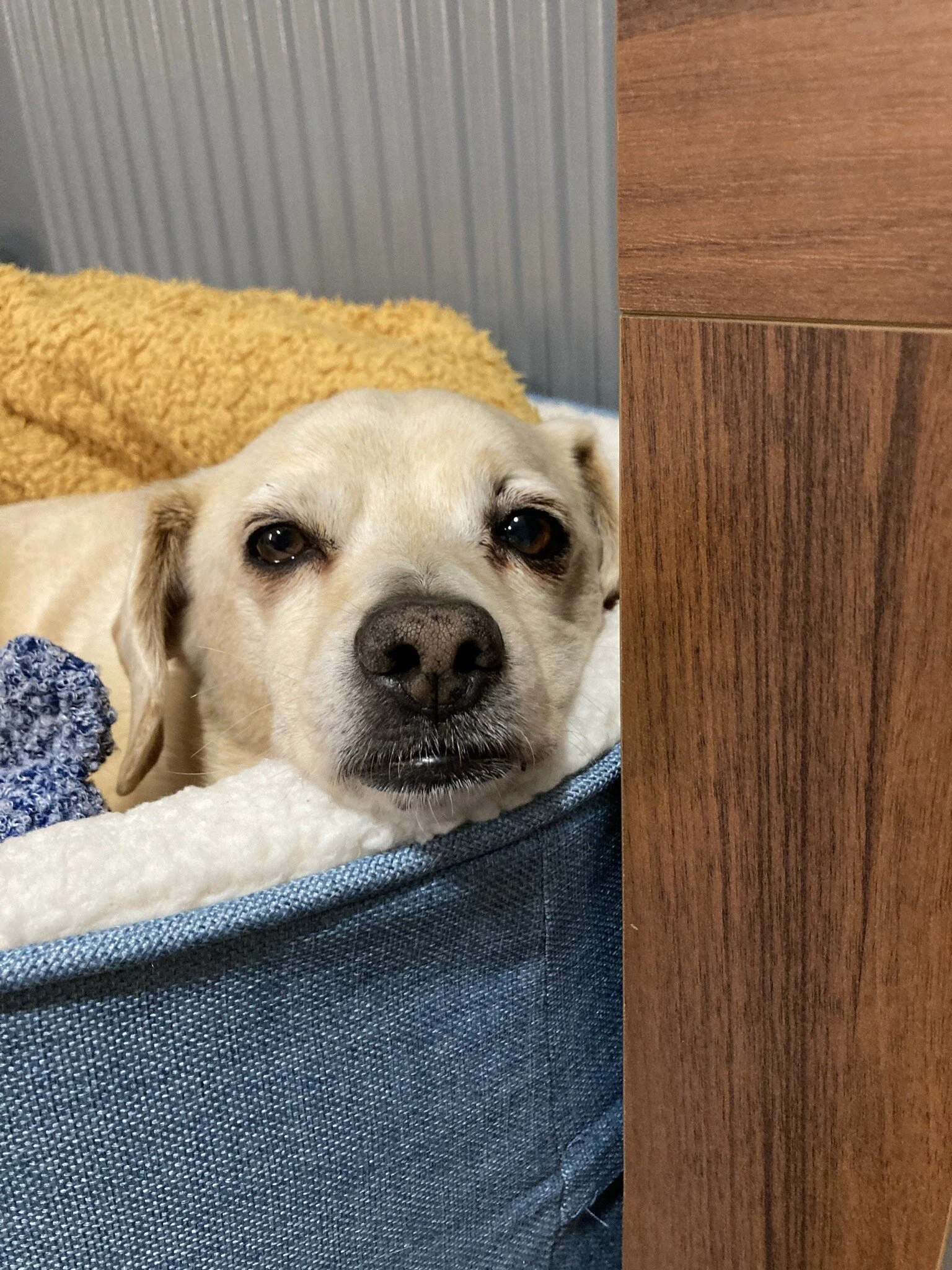 6C2C9FCF-D2E9-4A2B-899B-83CFECD42ABB