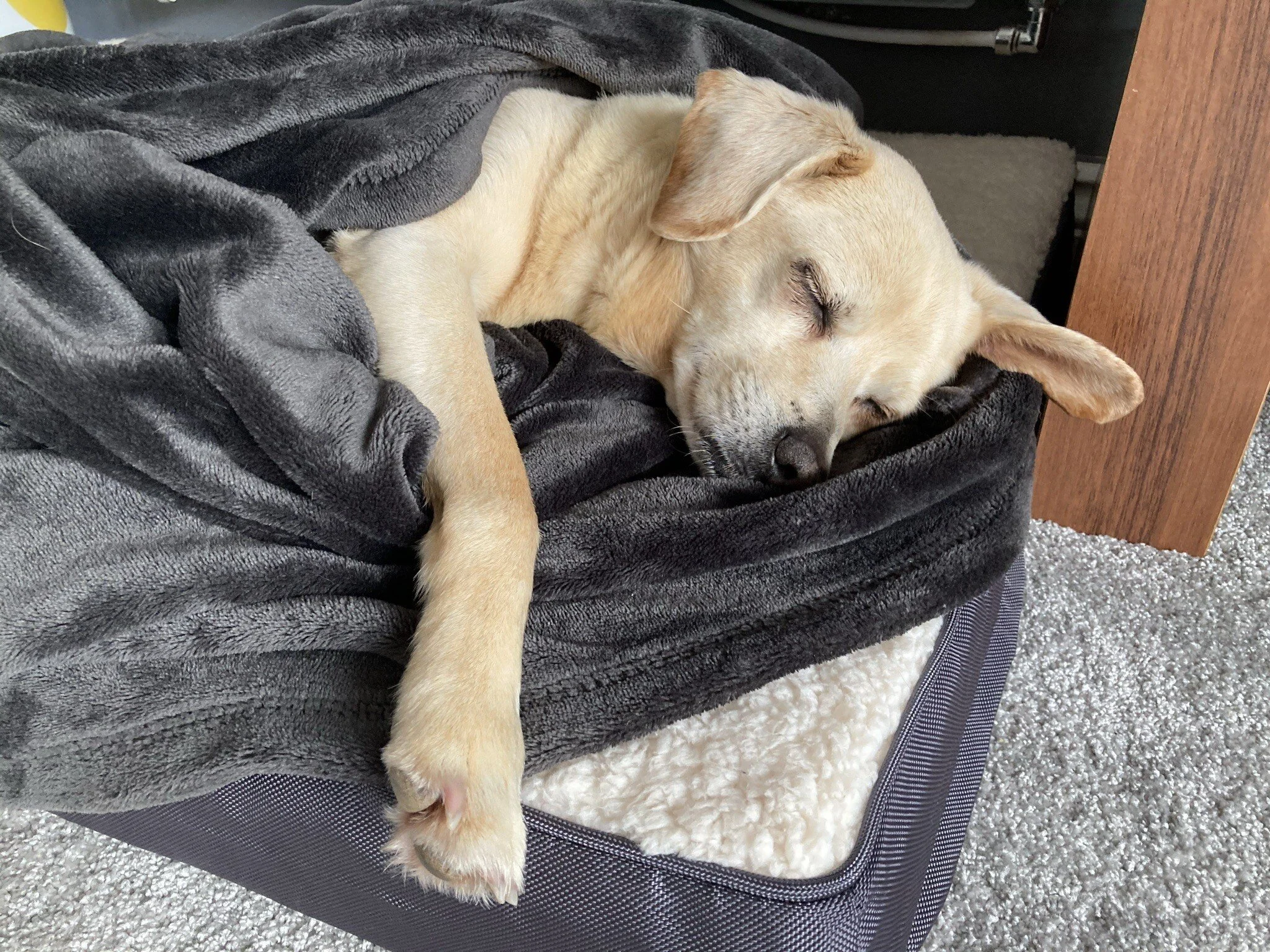 41CE66B7-E7A3-42B0-A797-697FC75C91F3