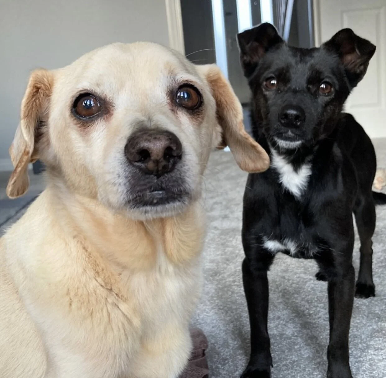 7C0869EC-6F45-476C-B2E2-D7382E4FFF57