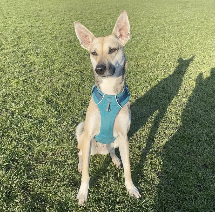 8E4DB107-7CF7-400F-8EA6-559601CCC35E