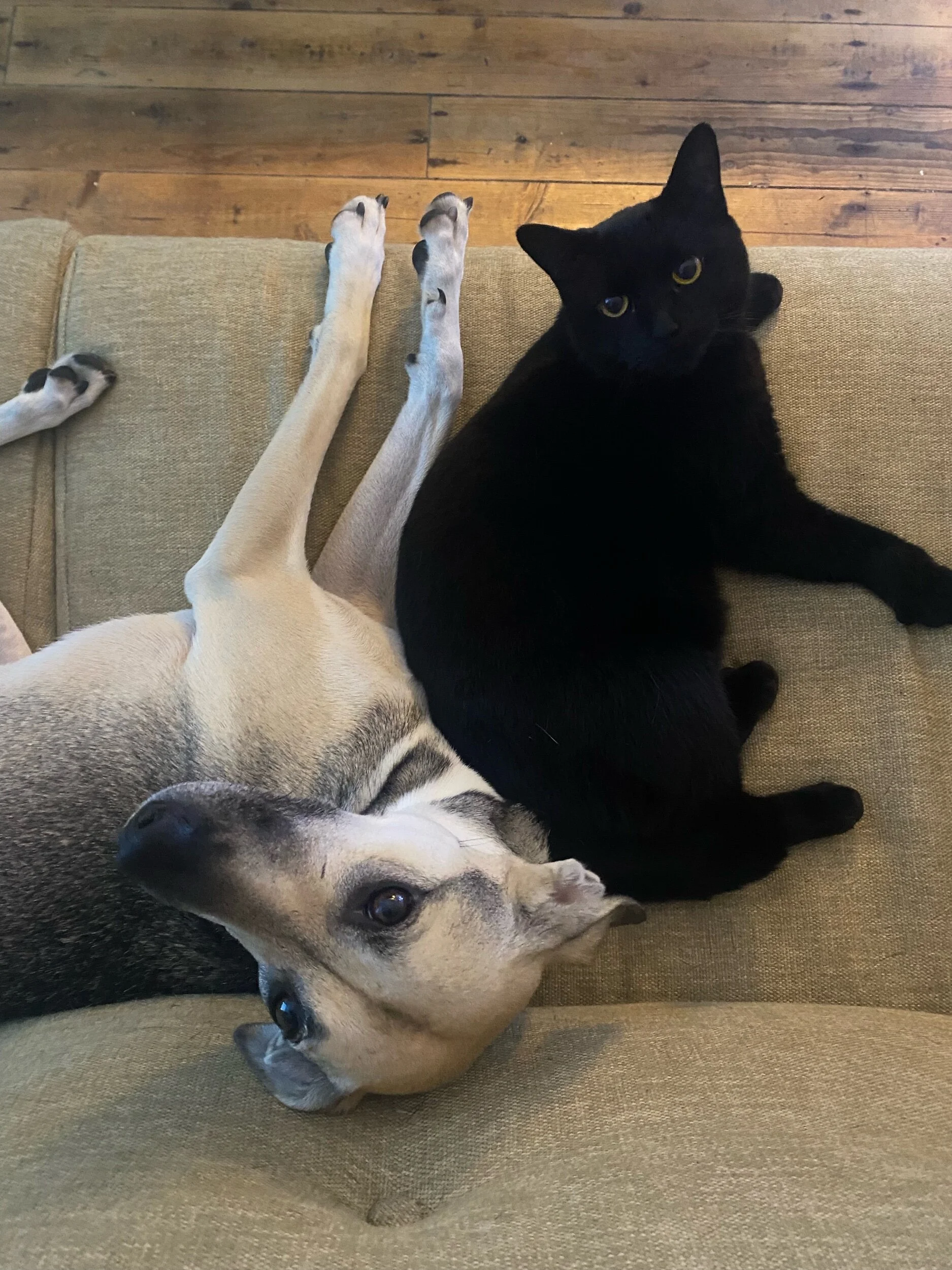 70B3DD94-272F-41D2-A842-95E5A107AC95