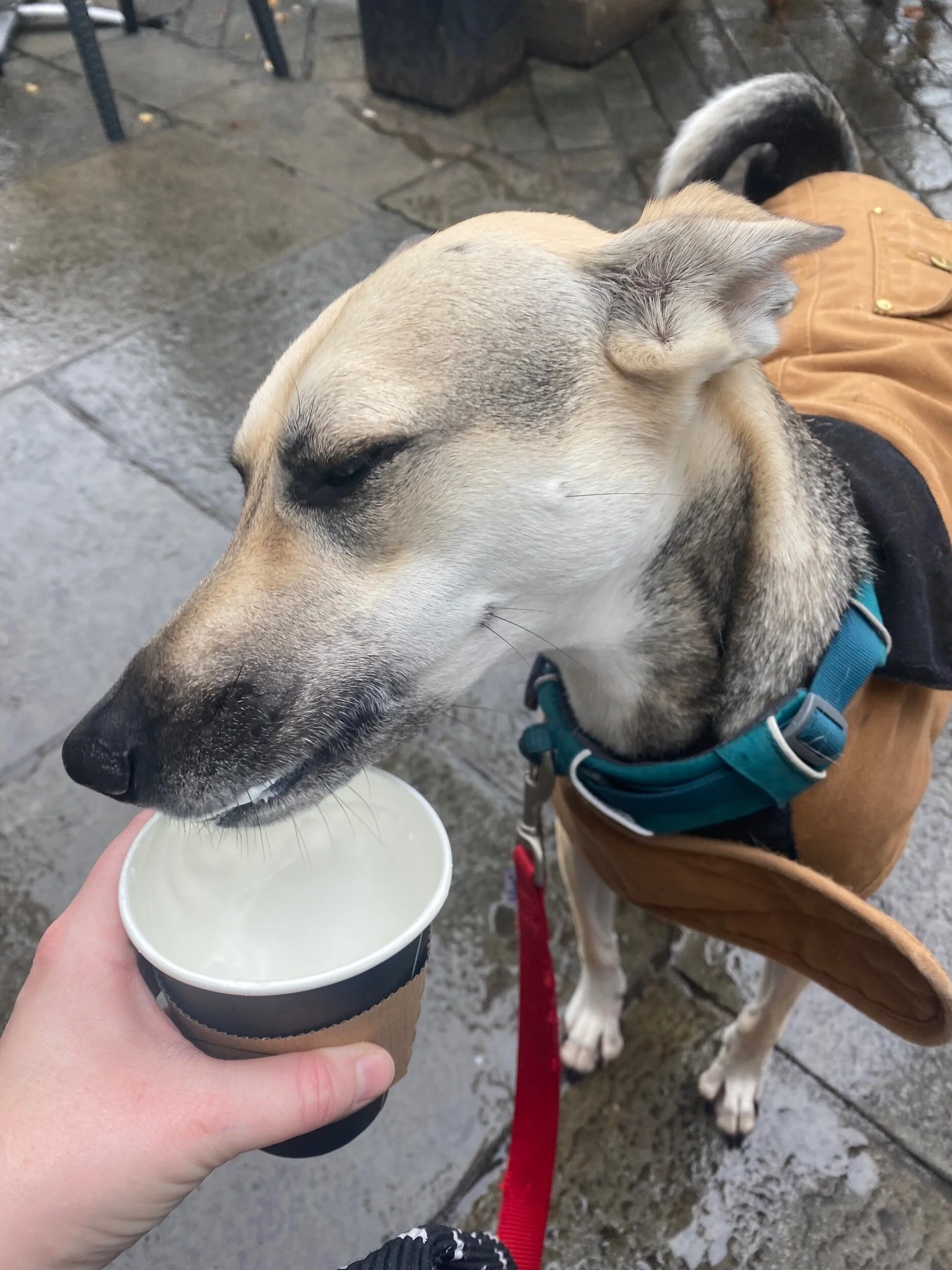 D98EAB92-EA3A-4D78-8D0C-71777EA2CC7D