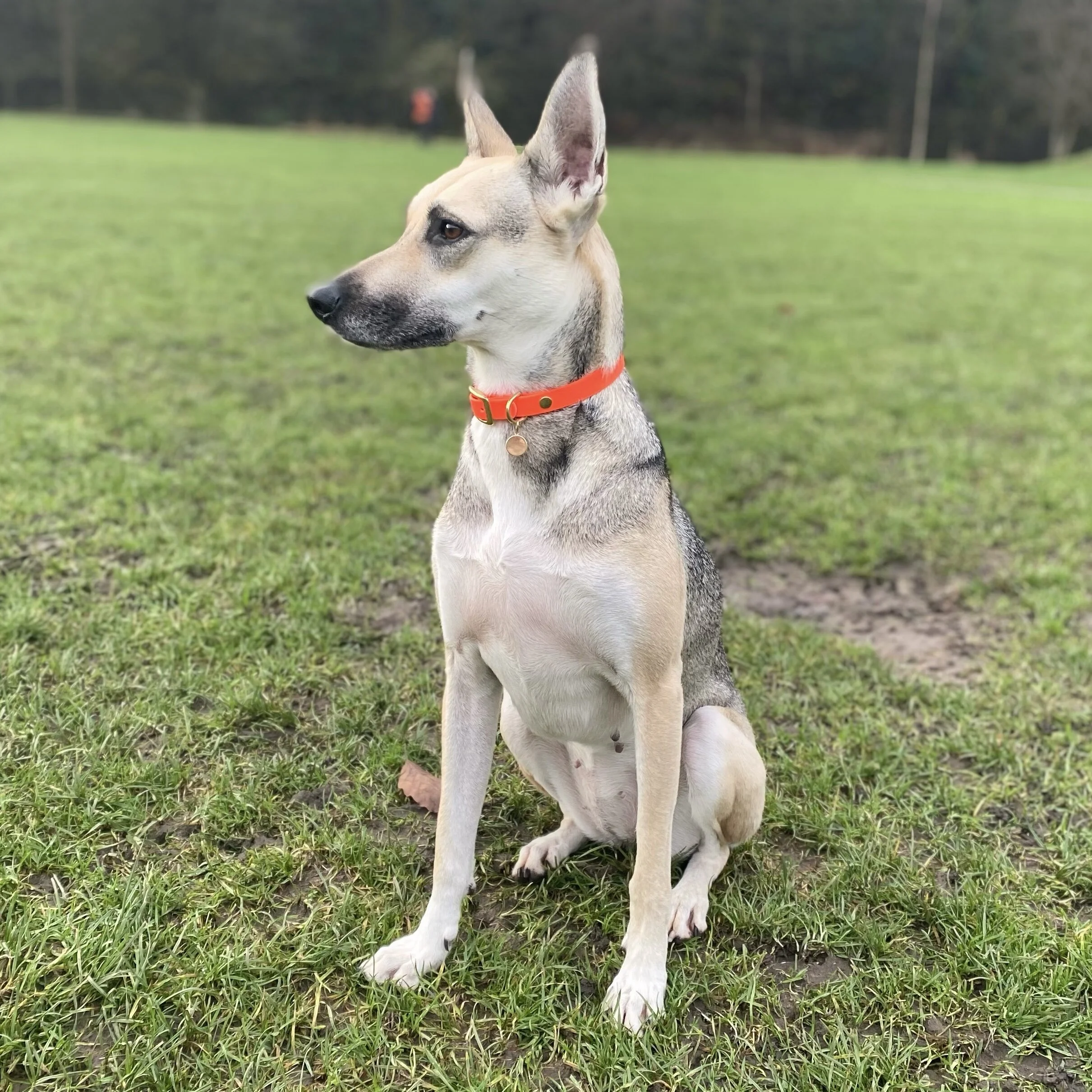 6A01BC5F-2910-45C4-BF32-F276353117BE