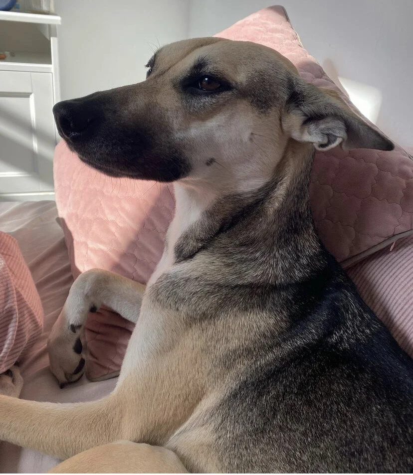 22FF031F-7165-4A6C-99E5-E16D68955E17