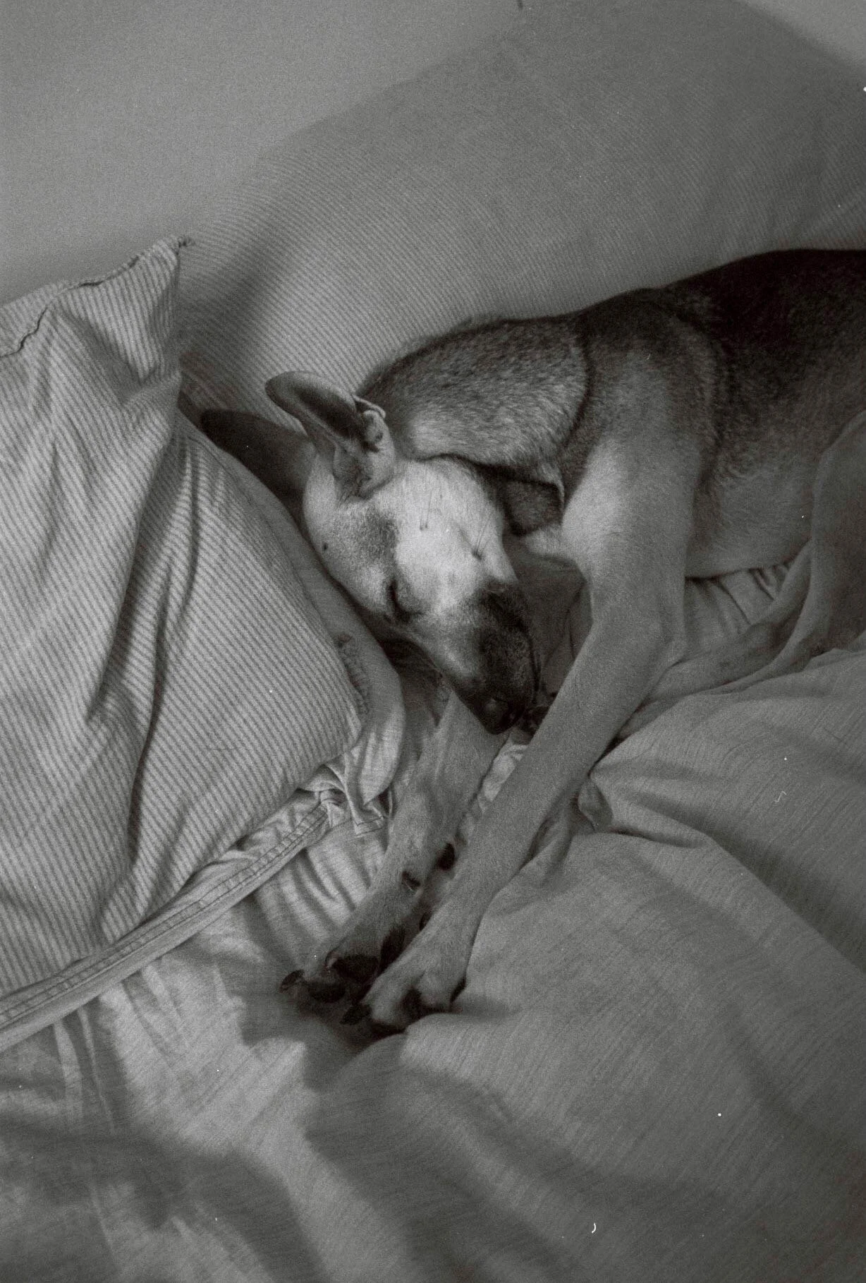 A99A5AC5-9277-444A-8D54-0E242A325709