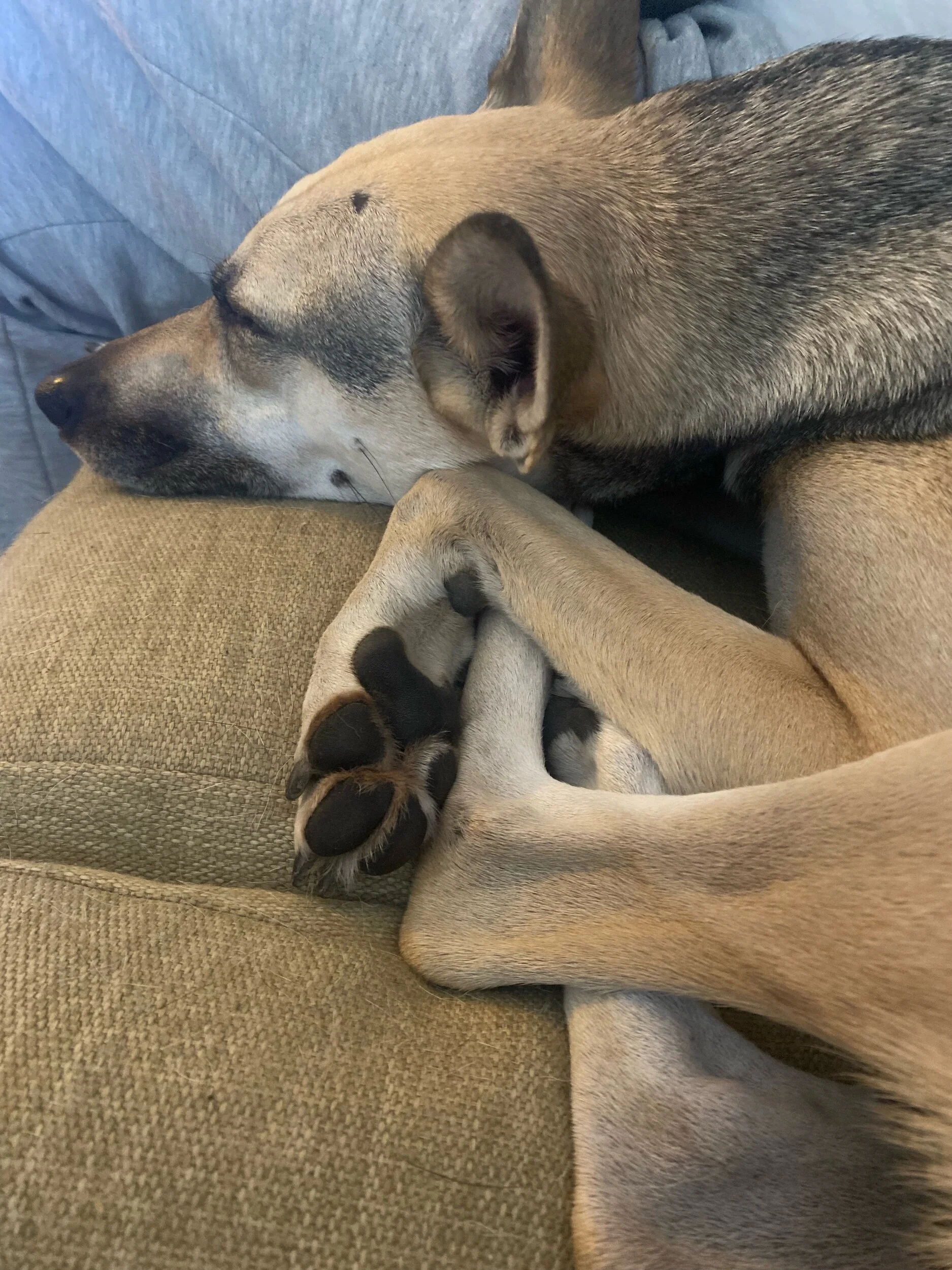 7FB963B9-78A1-45F8-A7E8-46C919D0CF09