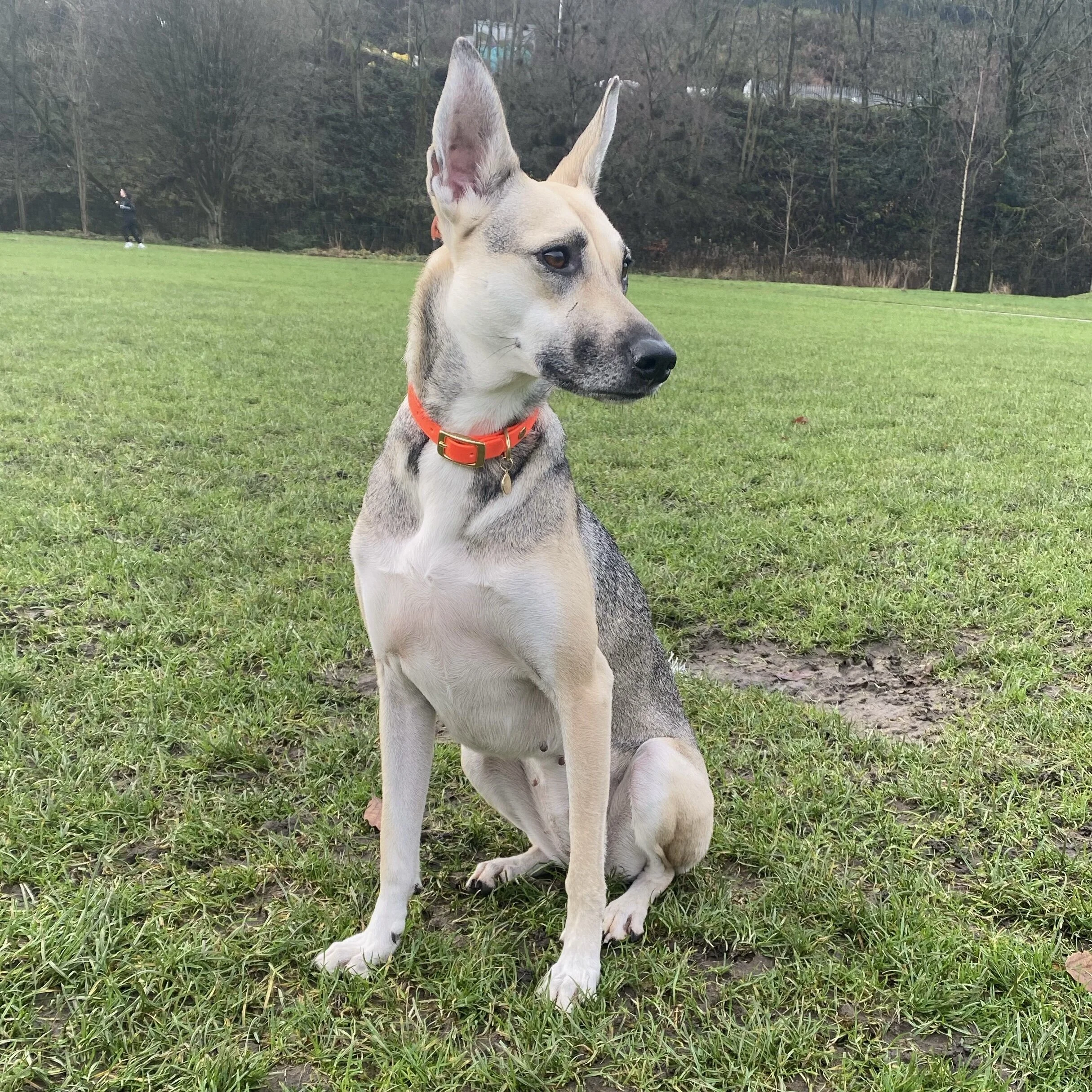 AF23337C-FEDB-4E7E-94E6-A53BB33E5DB0