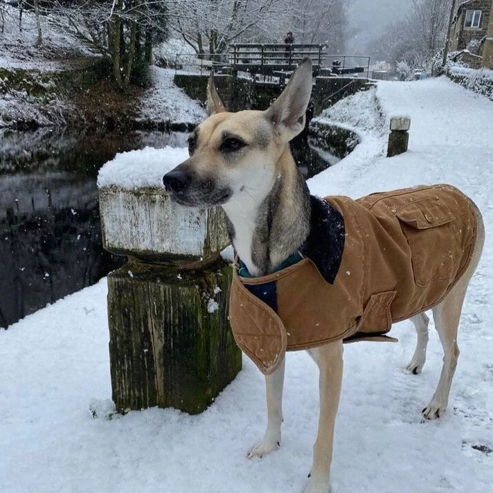 1FBCB4B9-FEFB-4276-811D-5C6AFECF6762