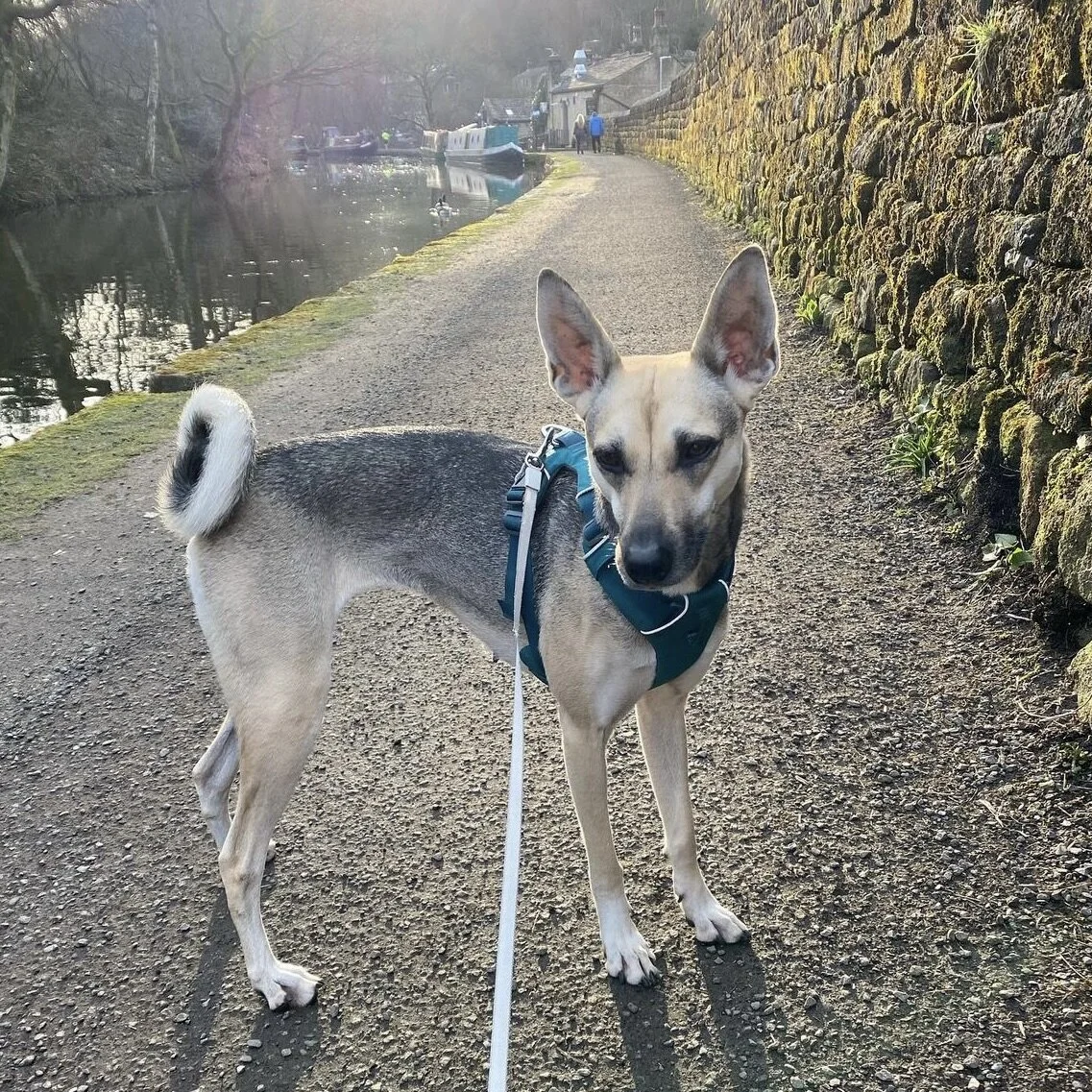 EB352469-5798-432E-9BE8-DEEAFE62CA68