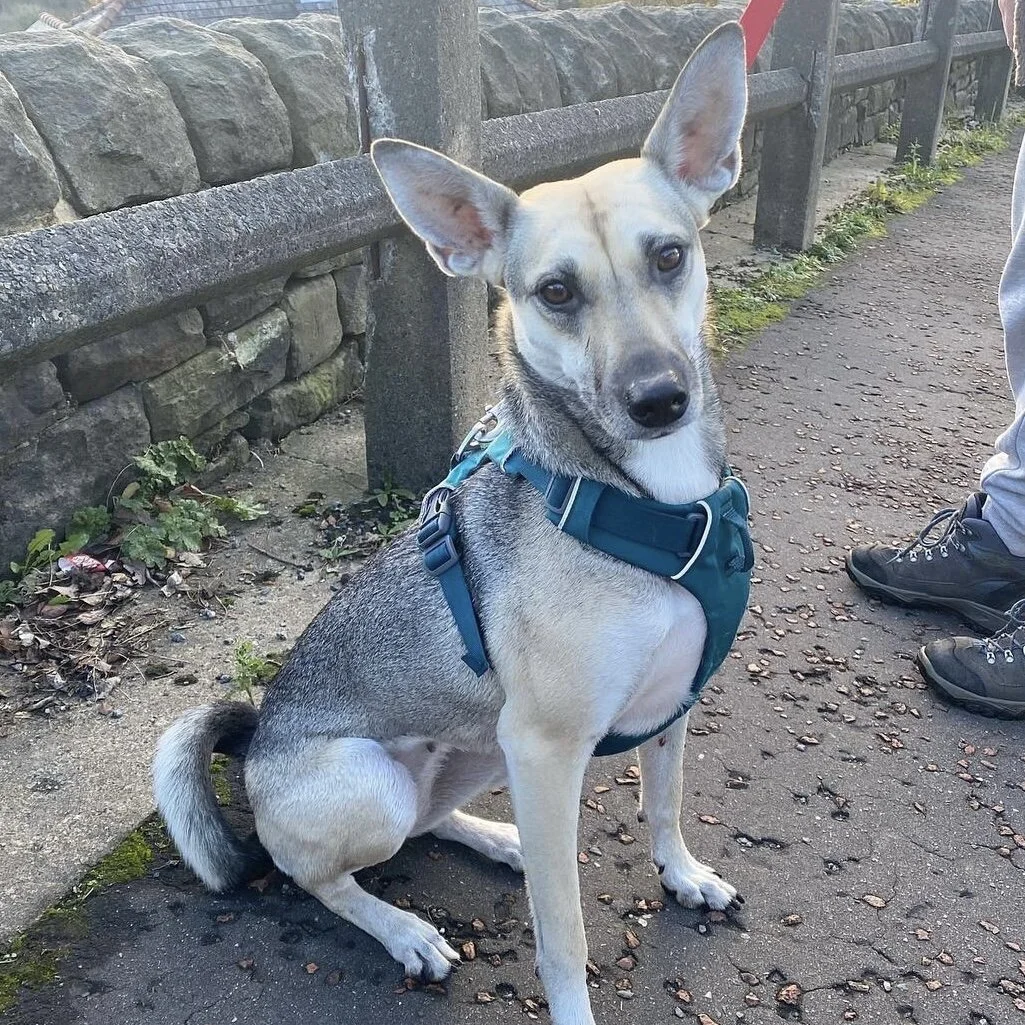 332E54DA-CFF1-4FD6-8FB4-E16F23835196