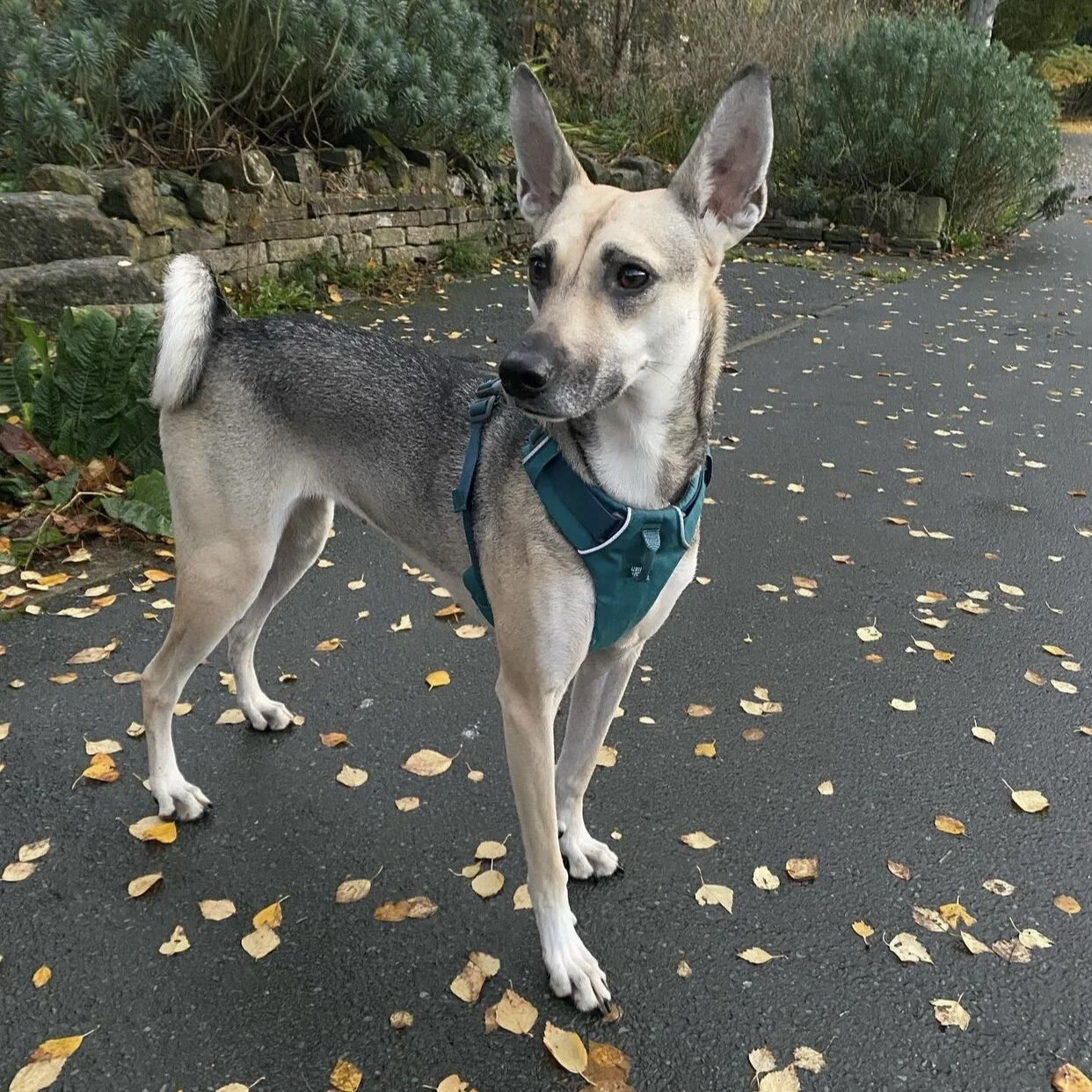 22F0F38F-E25B-4370-8725-E64A99E1C1C3