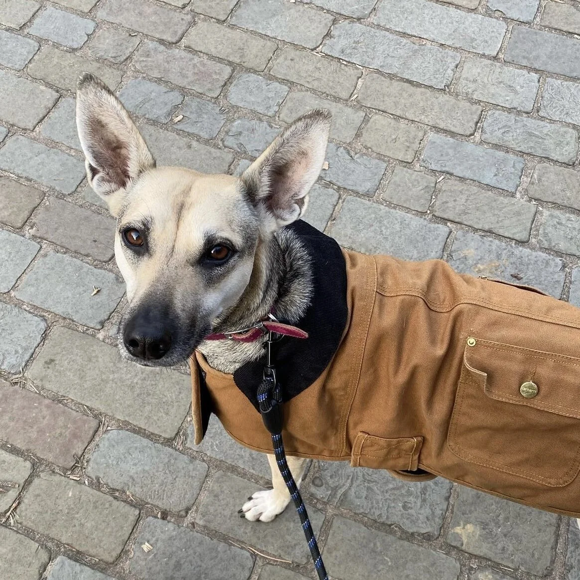 FF3C08C9-0756-4759-BCDF-432F845906E0